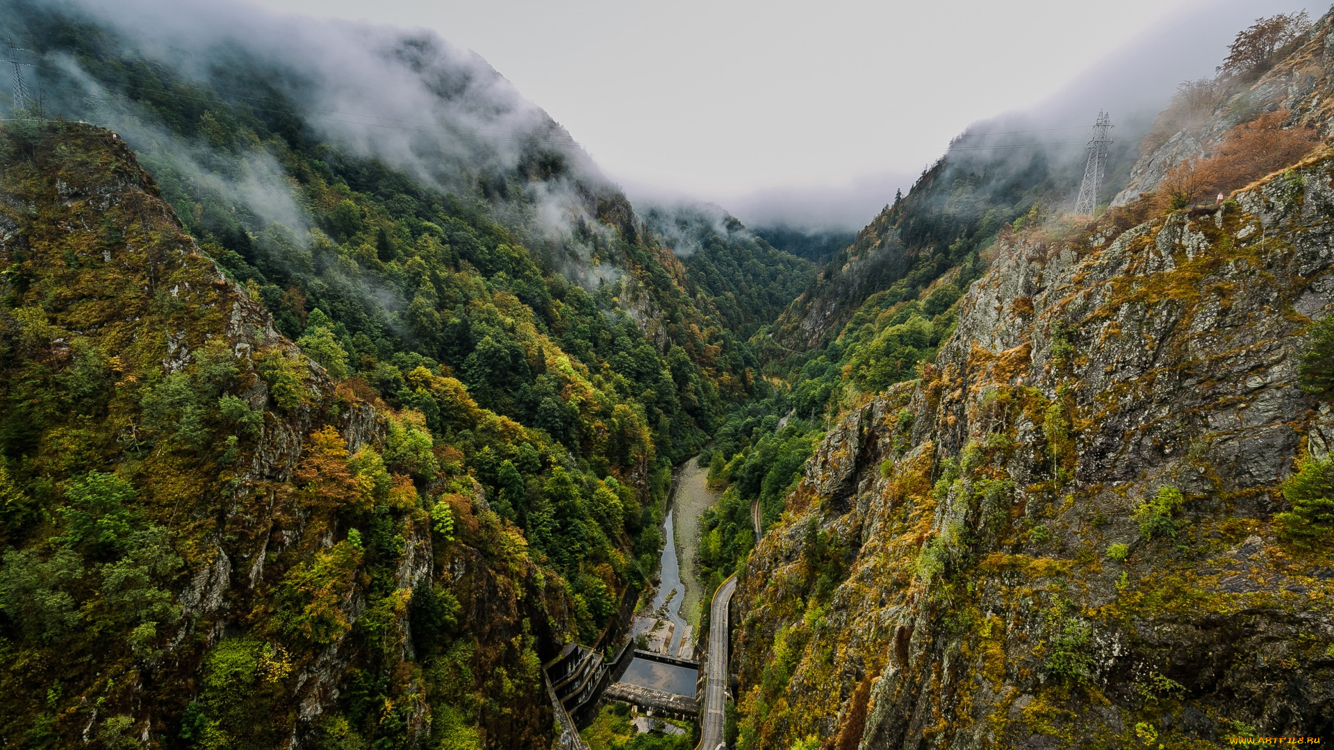румыния, природа, горы, деревья, туман