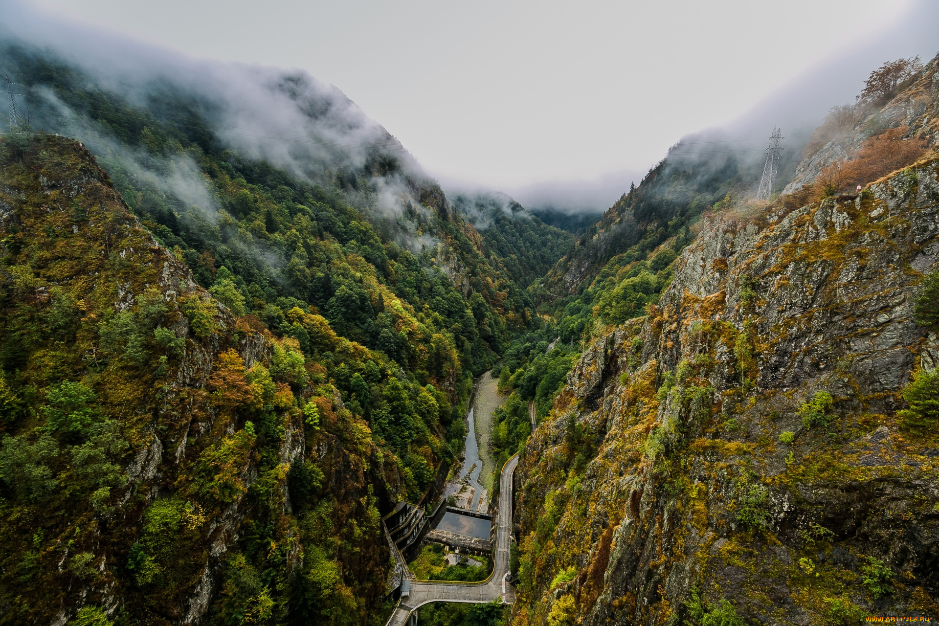 румыния, природа, горы, деревья, туман