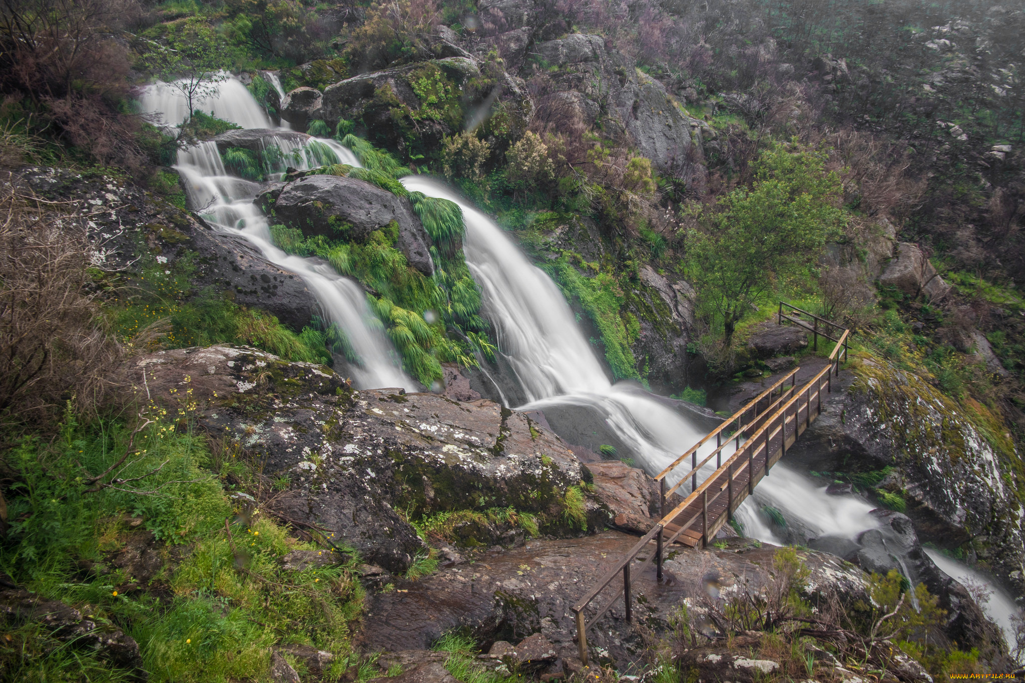 природа, водопады, водопад, река, лес