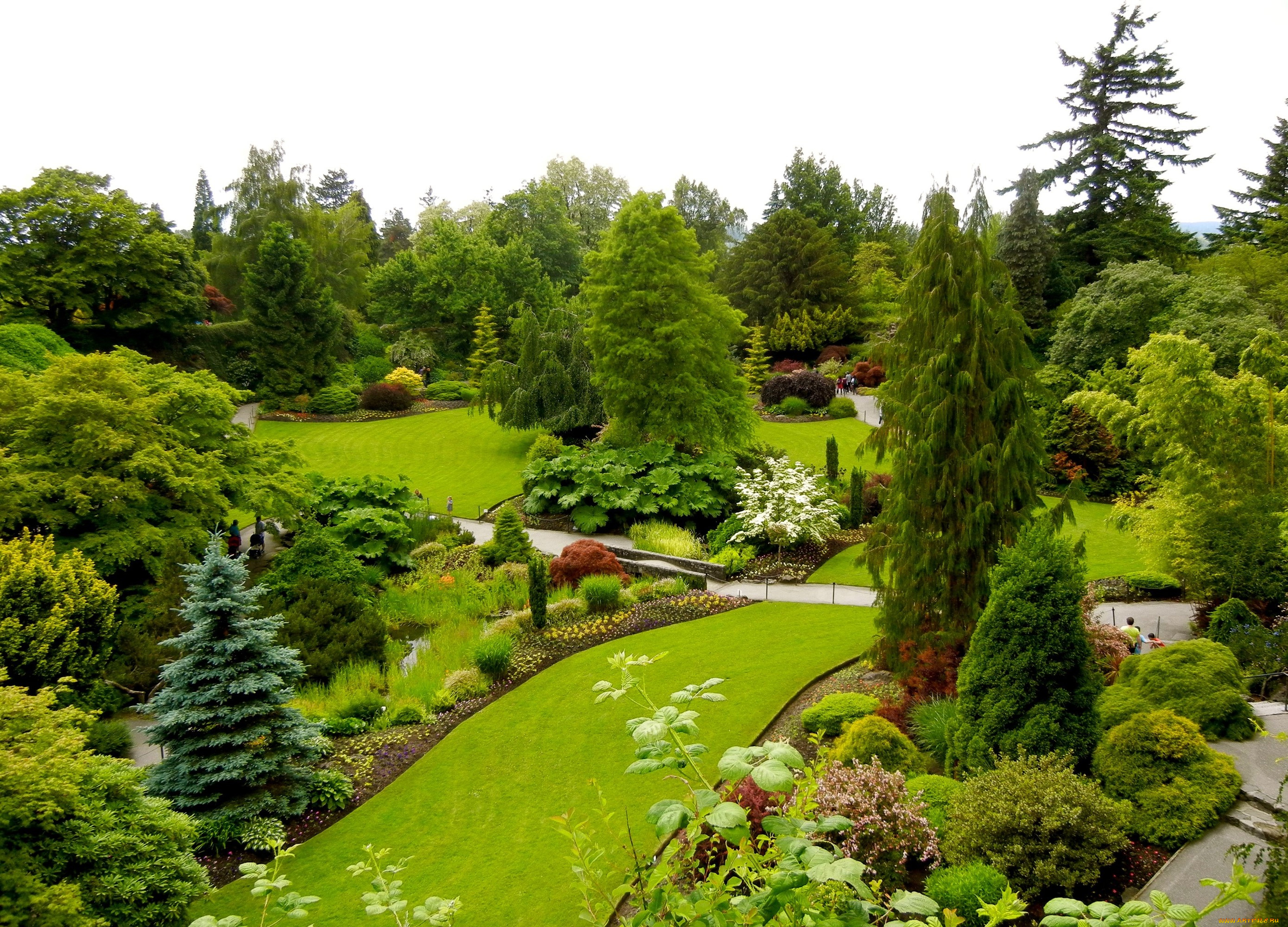 природа, парк, канада, queen, elizabeth, garden, ванкувер, зелень, кусты, деревья, газон, дизайн