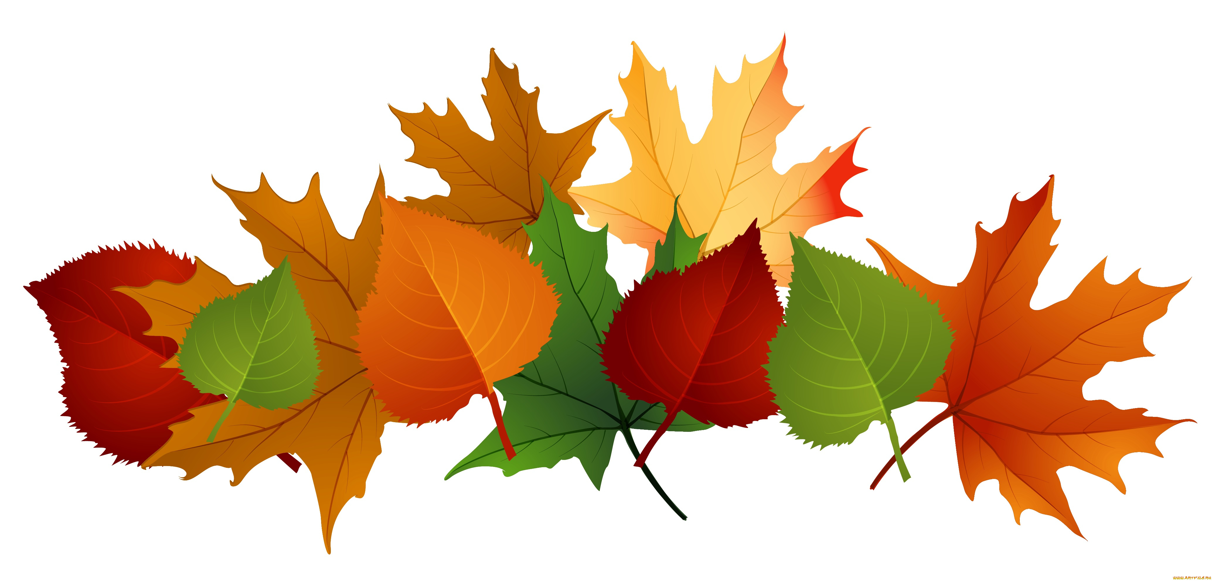 векторная, графика, природа, , nature, фон, листья, осень