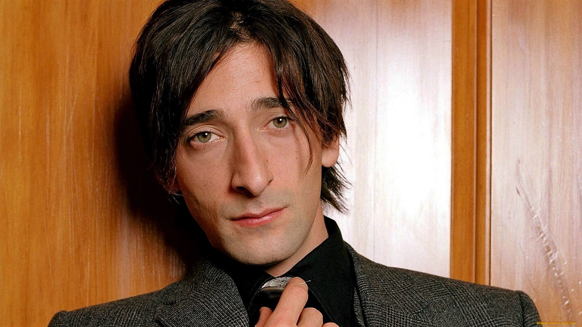 мужчины, adrien, brody, актер, лицо, пиджак