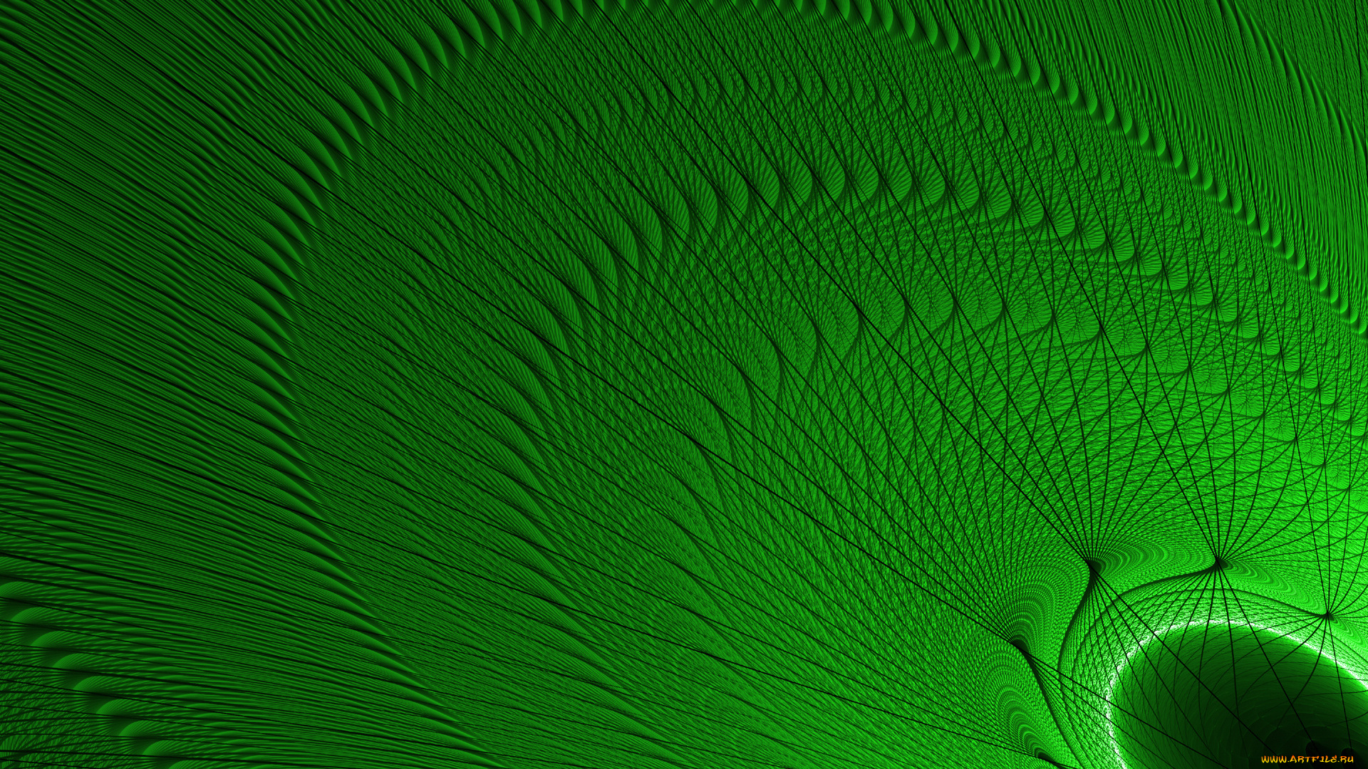 3д, графика, fractal, фракталы, фрактал