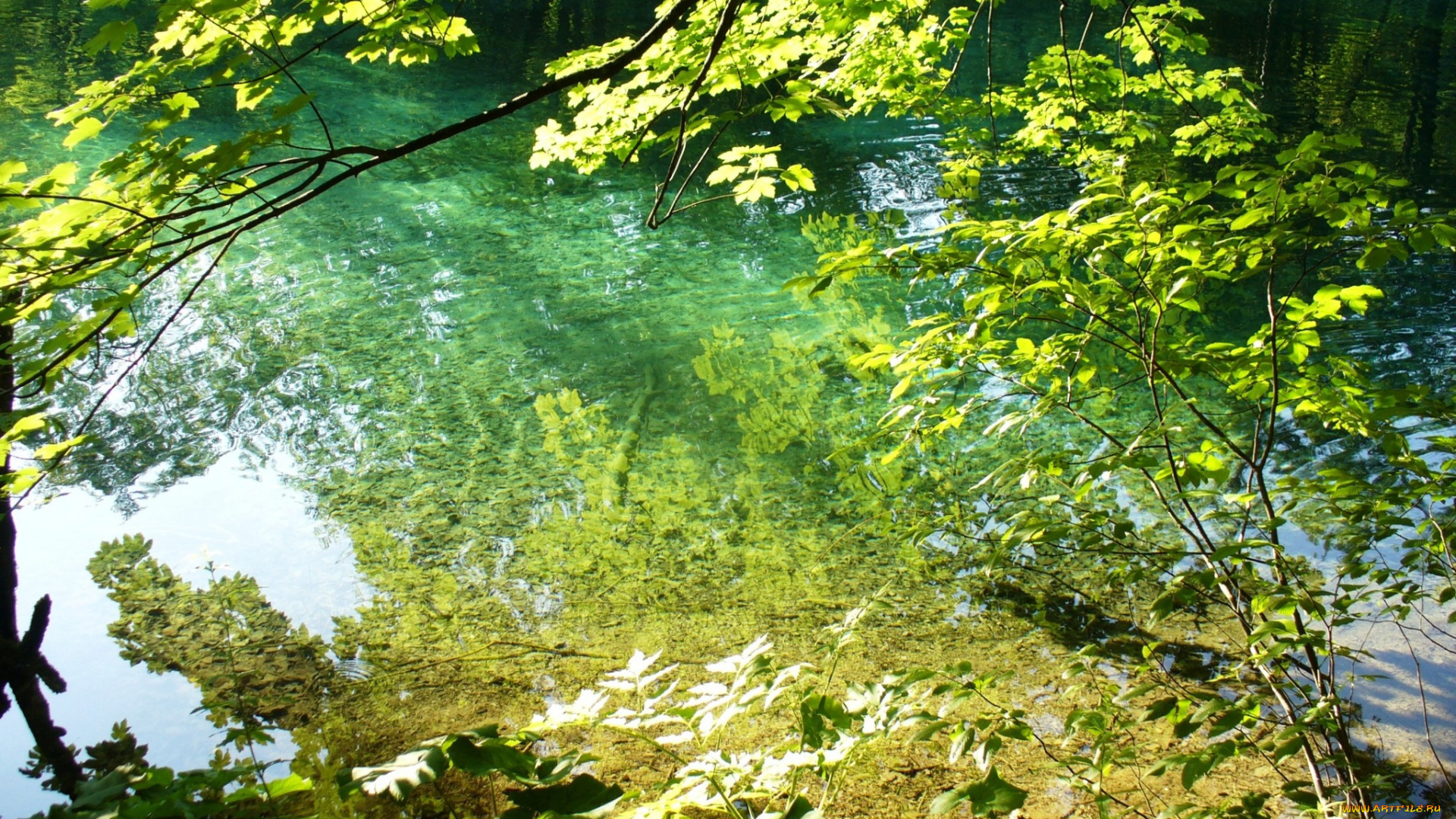 природа, реки, озера, отражение, деревья, вода, река