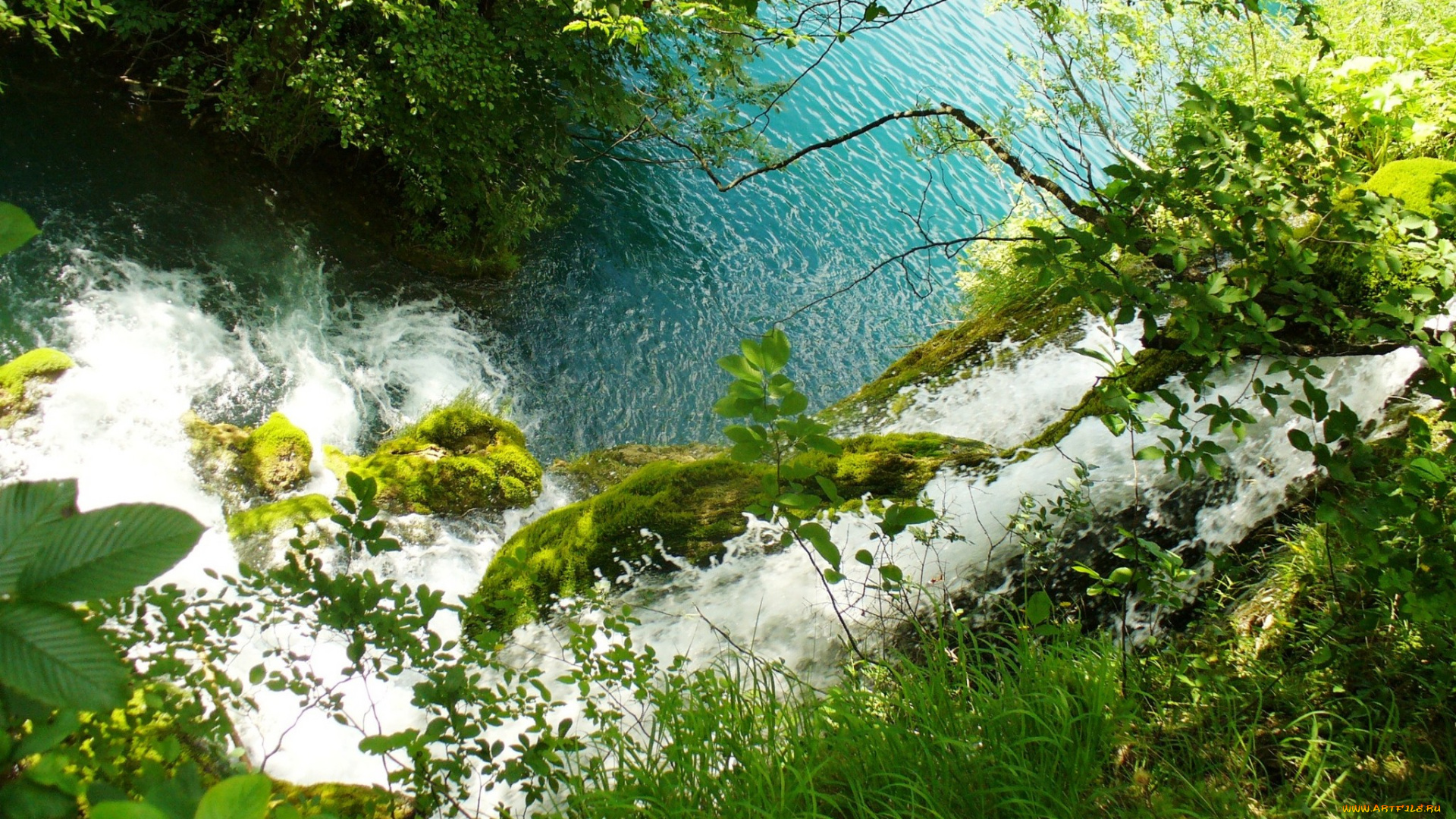 природа, реки, озера, поток, зелень, вода