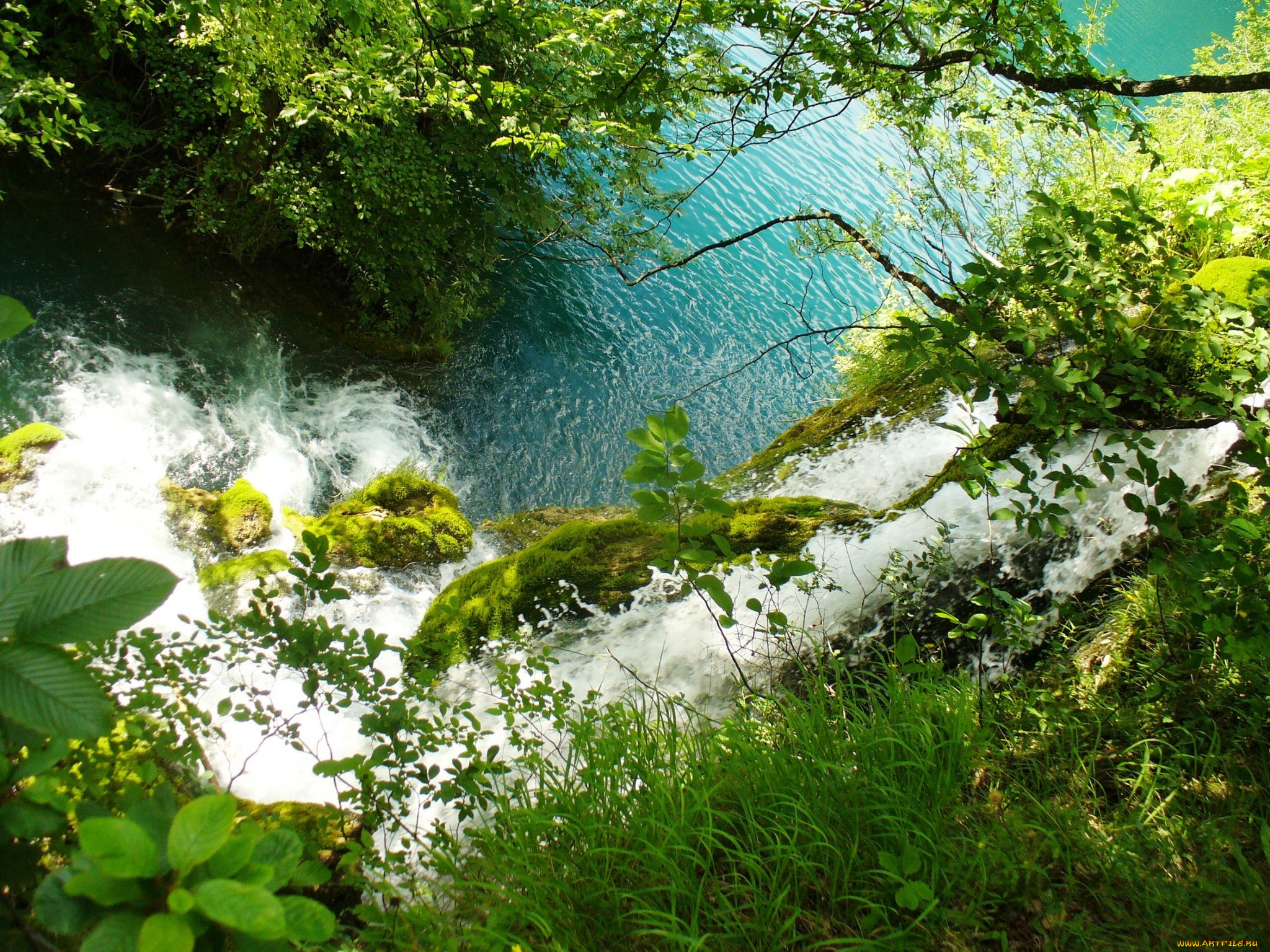 природа, реки, озера, поток, зелень, вода