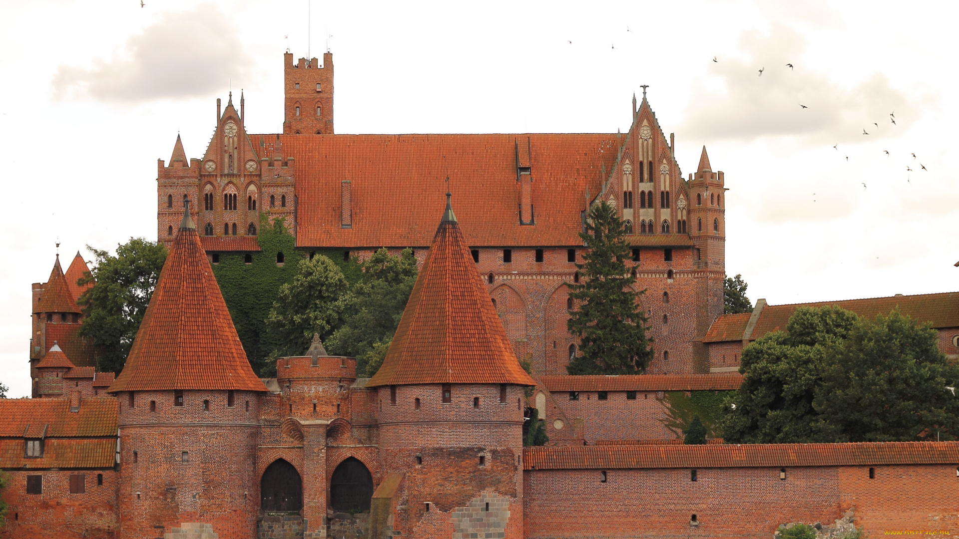 malbork, castle, польша, города, дворцы, замки, крепости, замок