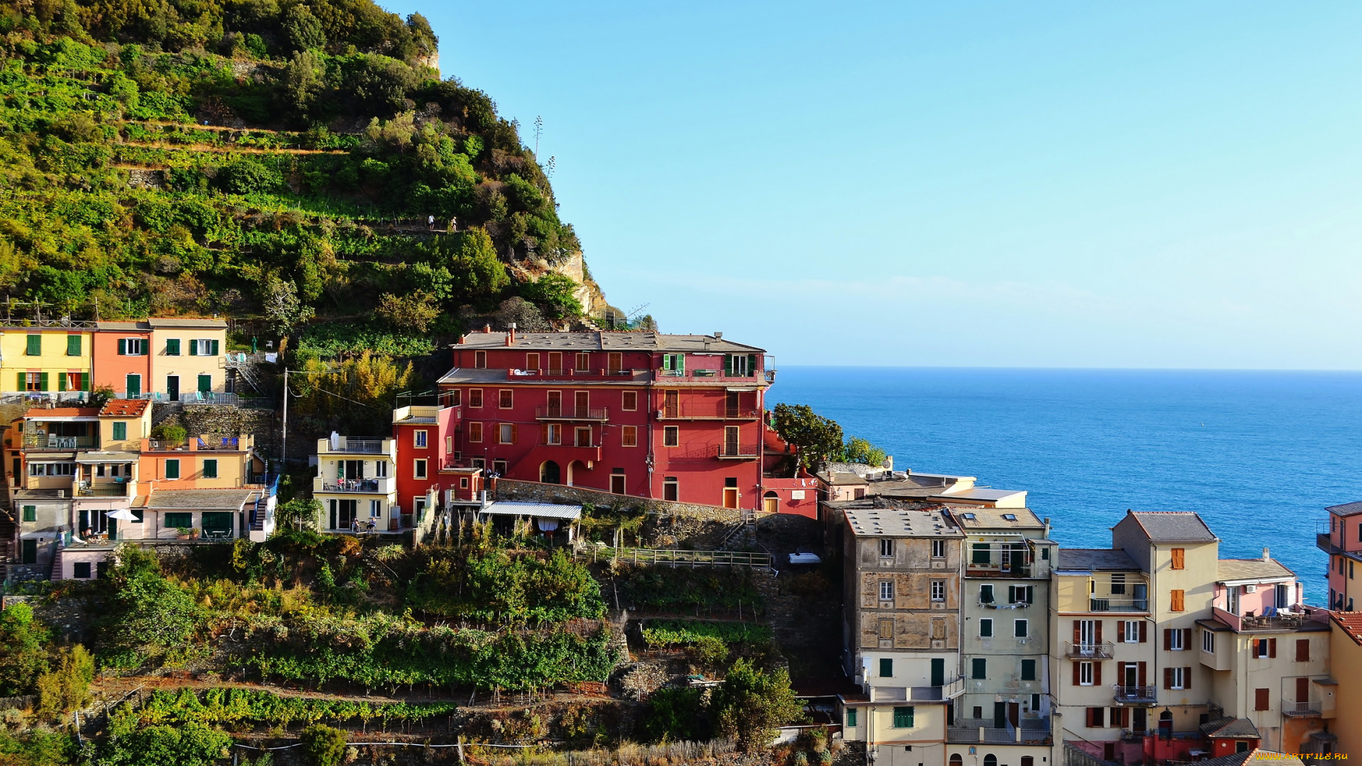 manarola, италия, города, амальфийское, лигурийское, побережье, дома, море, горы