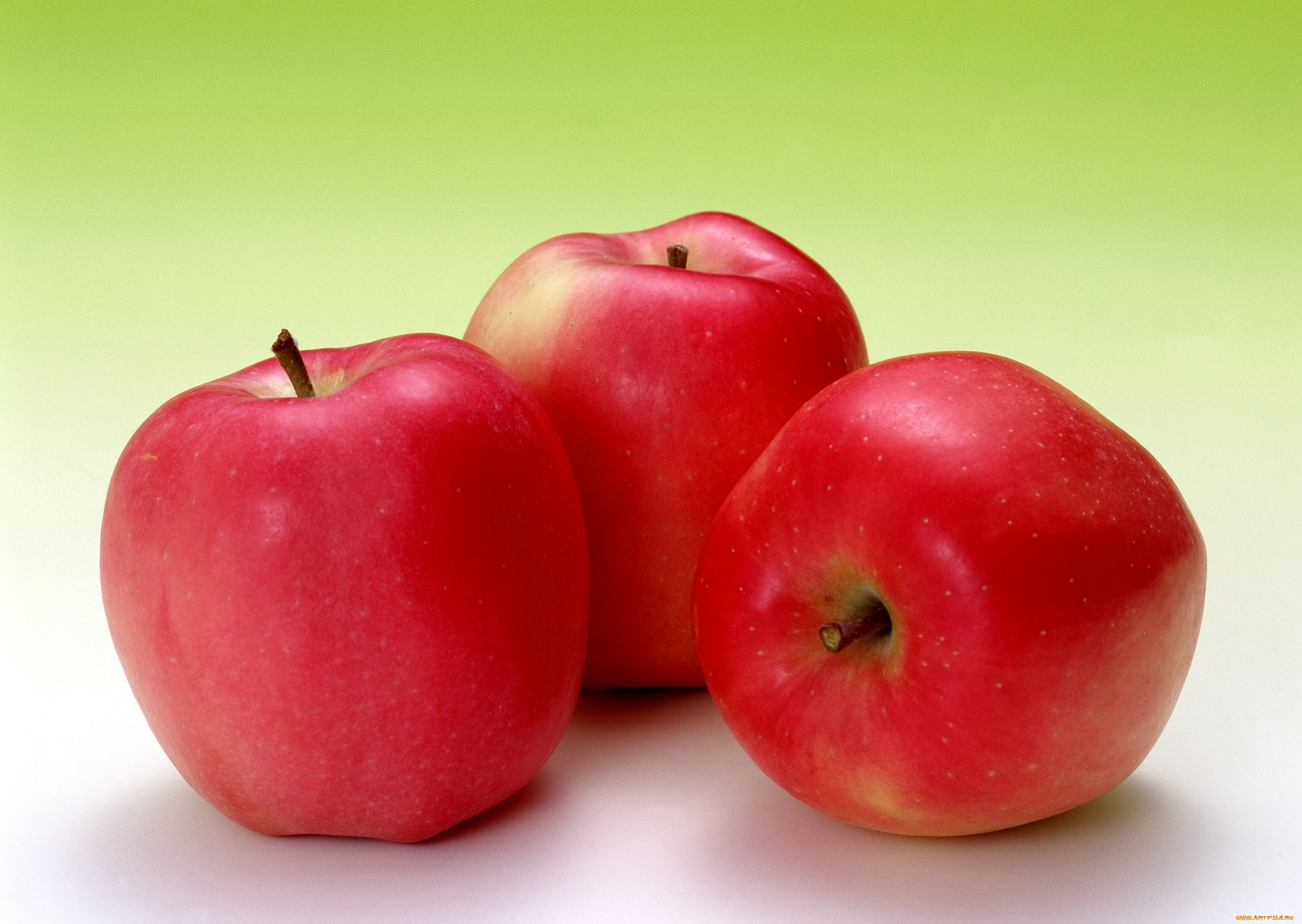 Apple three. Яблоки красные. Яблоки обои. Три яблока. Яблоки превосходные.