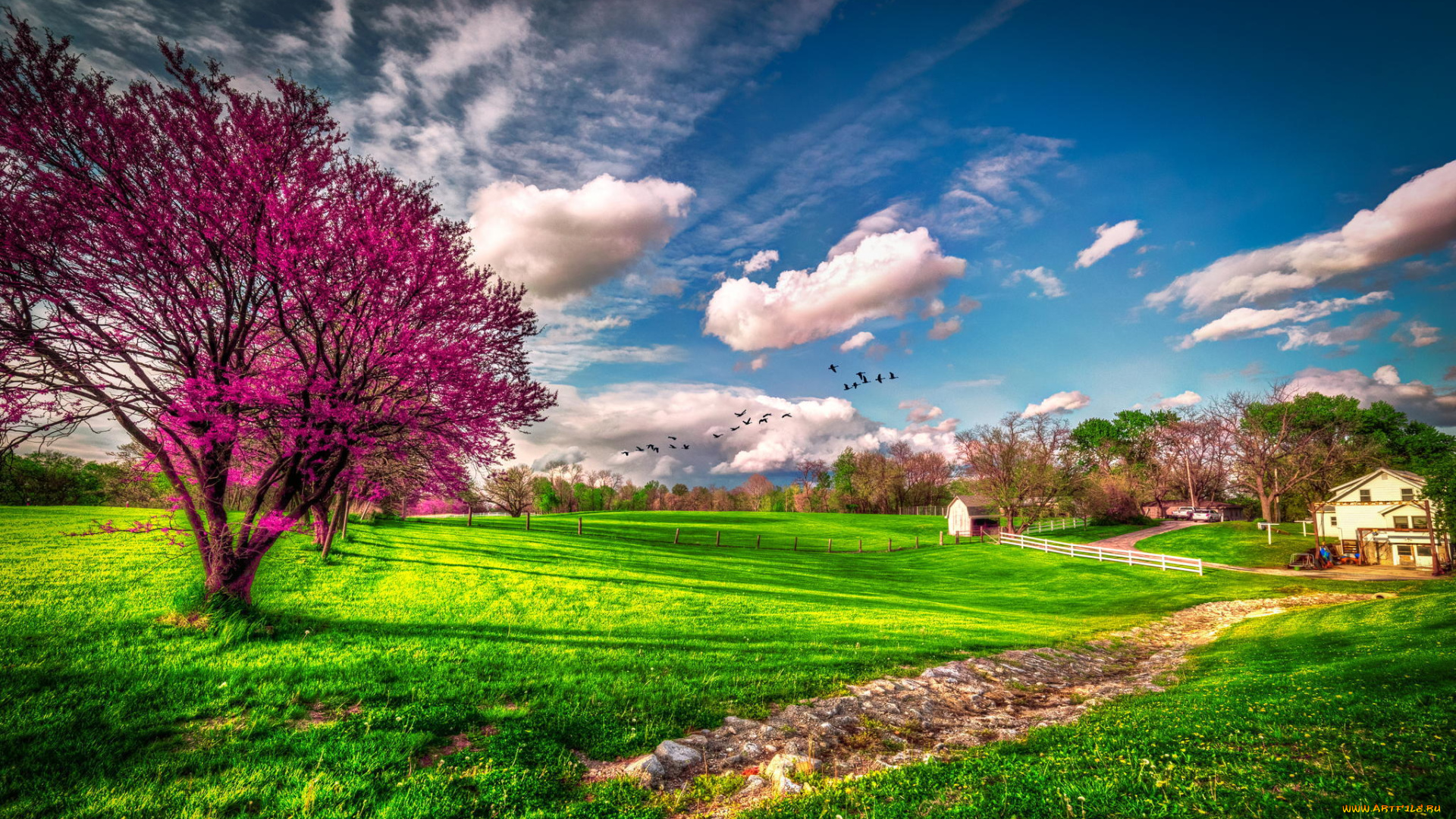 природа, деревья, дерево, зелень, трава, ферма, весна, цветение, сша, штат, миссури, облака