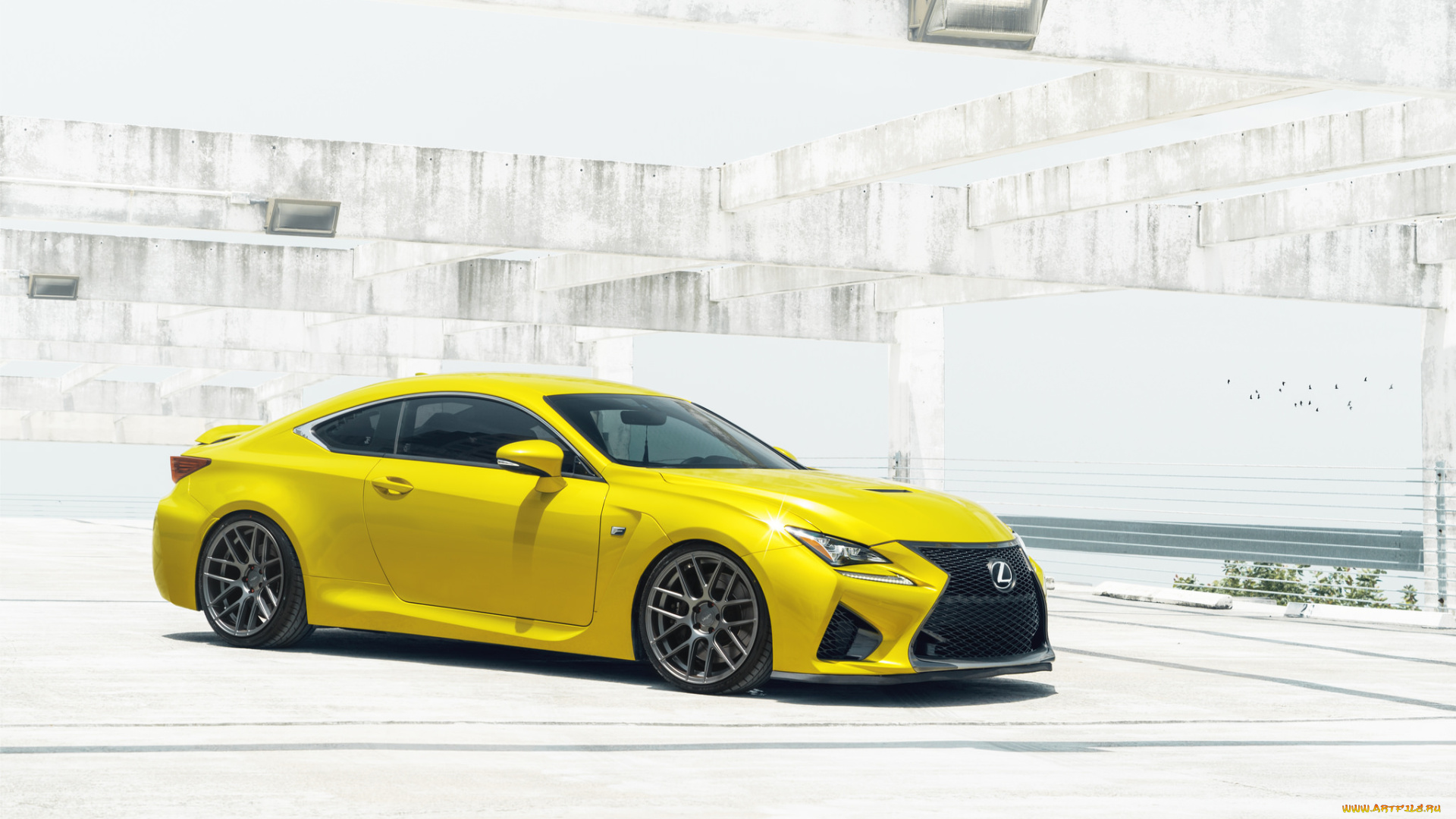 автомобили, lexus, yellow, rcf, жёлтый