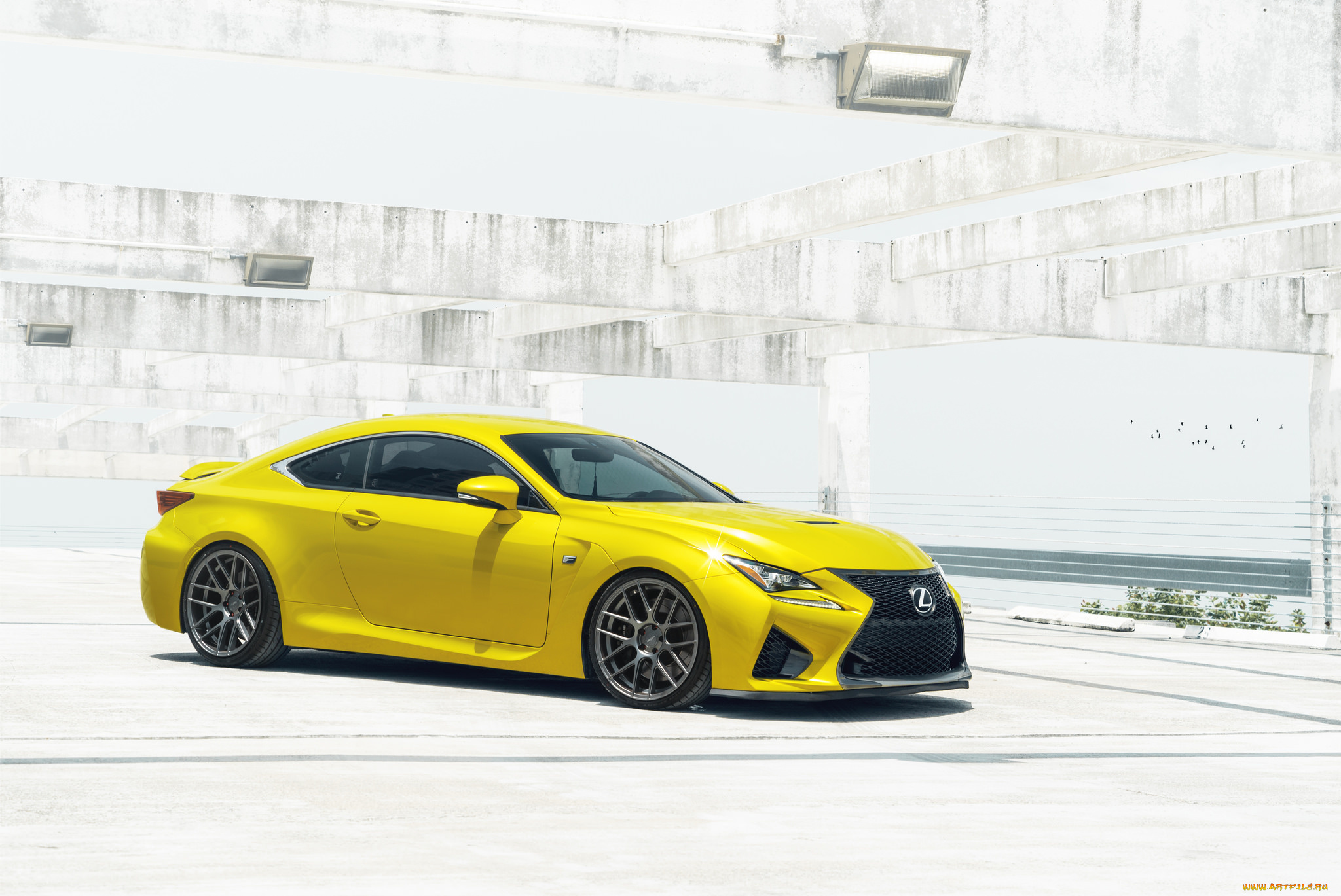 автомобили, lexus, yellow, rcf, жёлтый