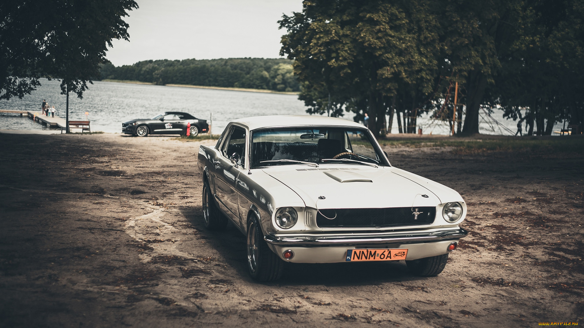 автомобили, mustang, ford