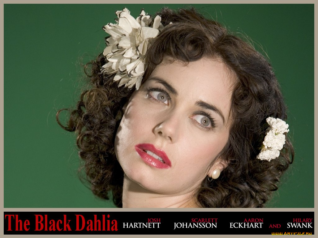 кино, фильмы, the, black, dahlia