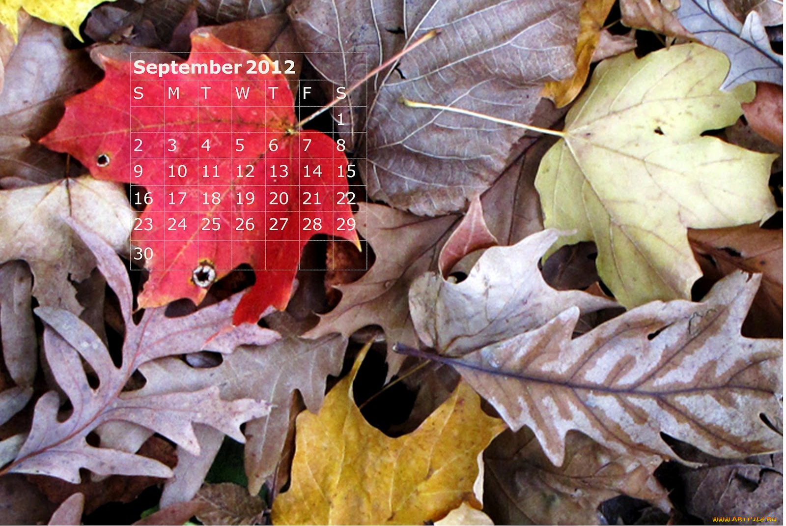 календари, природа, осень, листья