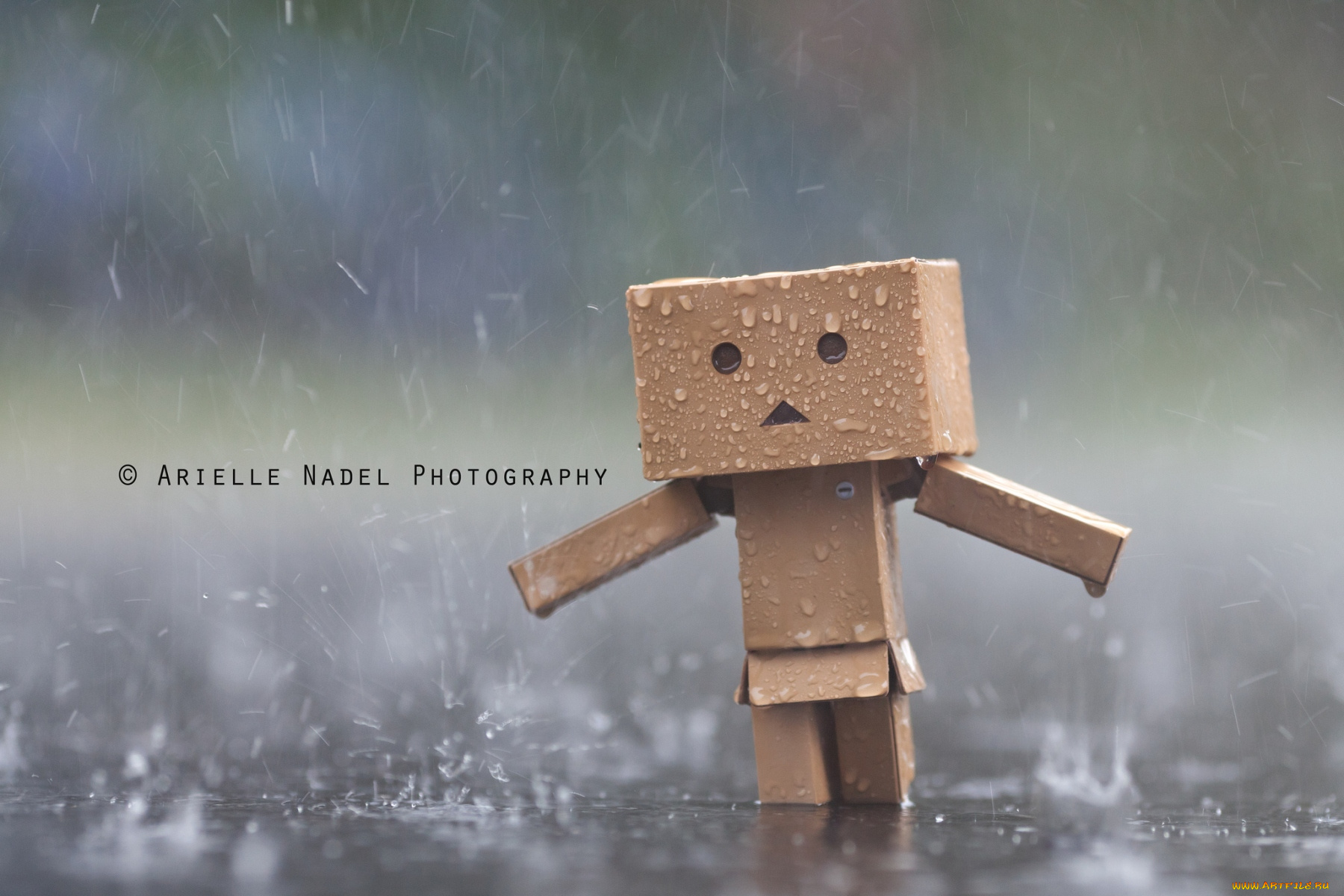 разное, данбо, danboard, дождь, милый