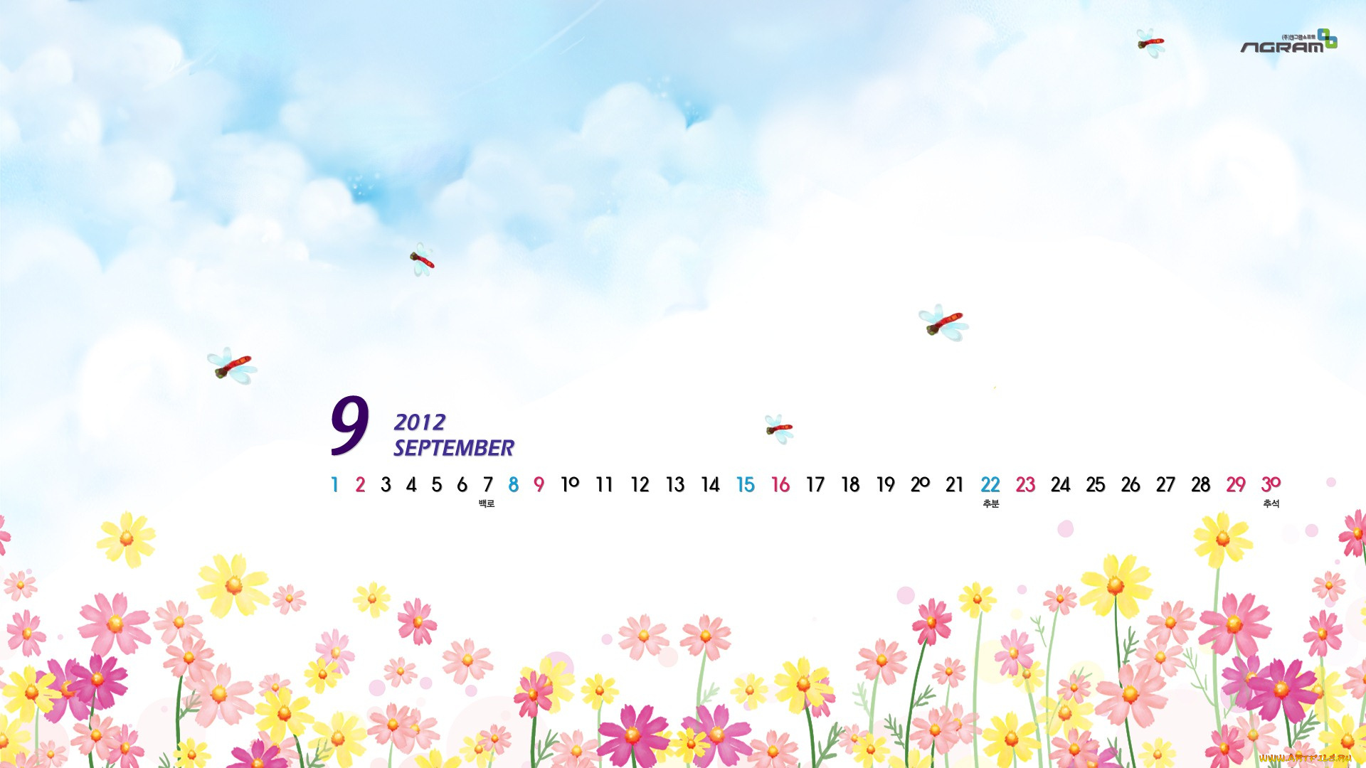 календари, рисованные, векторная, графика, стрекозы, цветы, космея