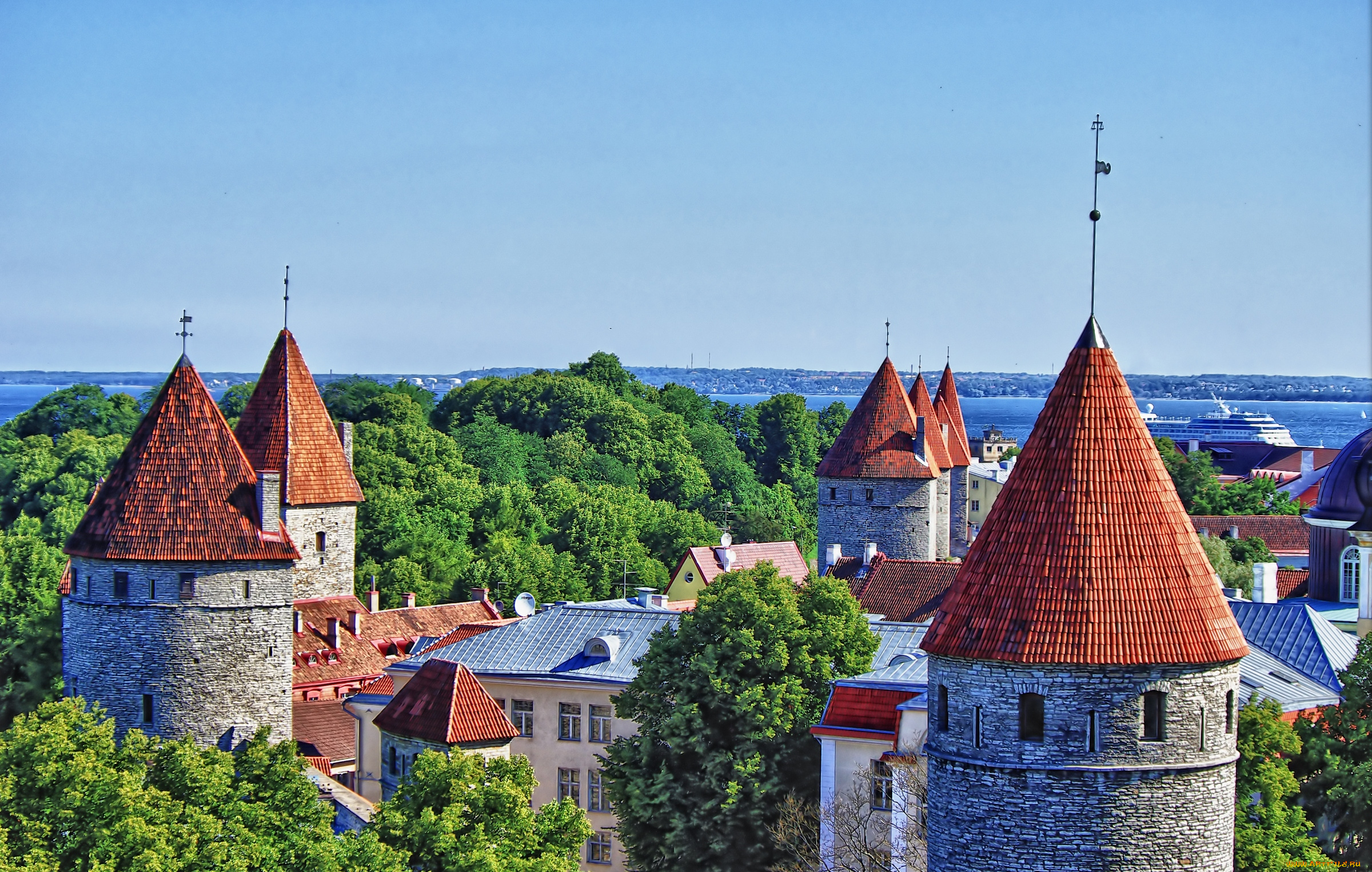 города, таллин, эстония, панорама, дома, крыши
