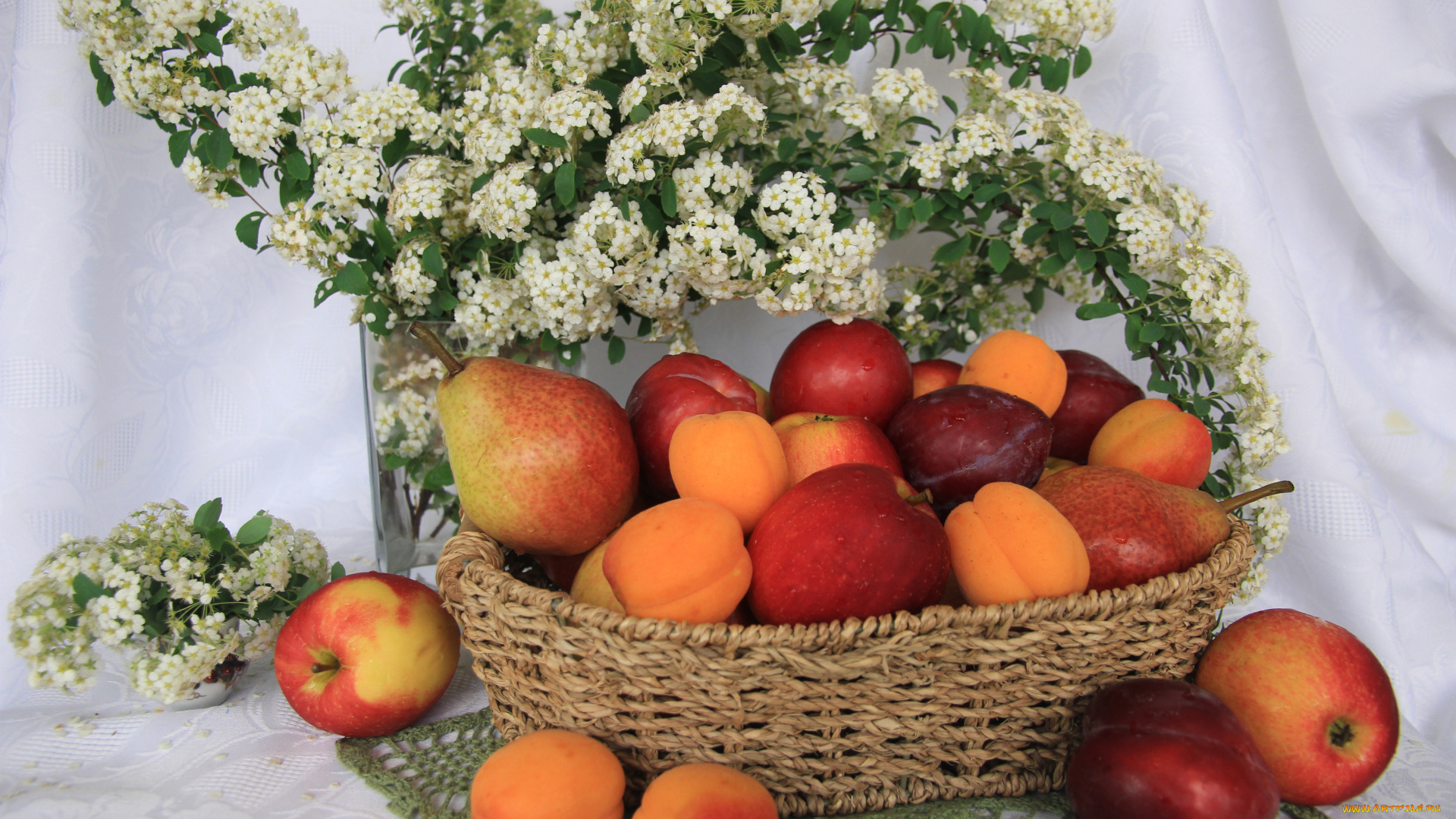 еда, натюрморт, свежие, яблоки, сливы, и, абрикосы, в, плетеной, корзине, на, столе, с, белыми, цветами, груши