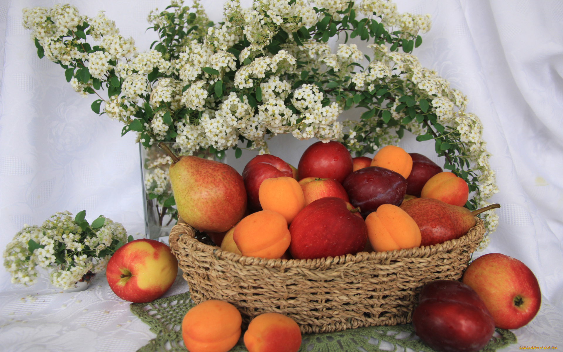 еда, натюрморт, свежие, яблоки, сливы, и, абрикосы, в, плетеной, корзине, на, столе, с, белыми, цветами, груши