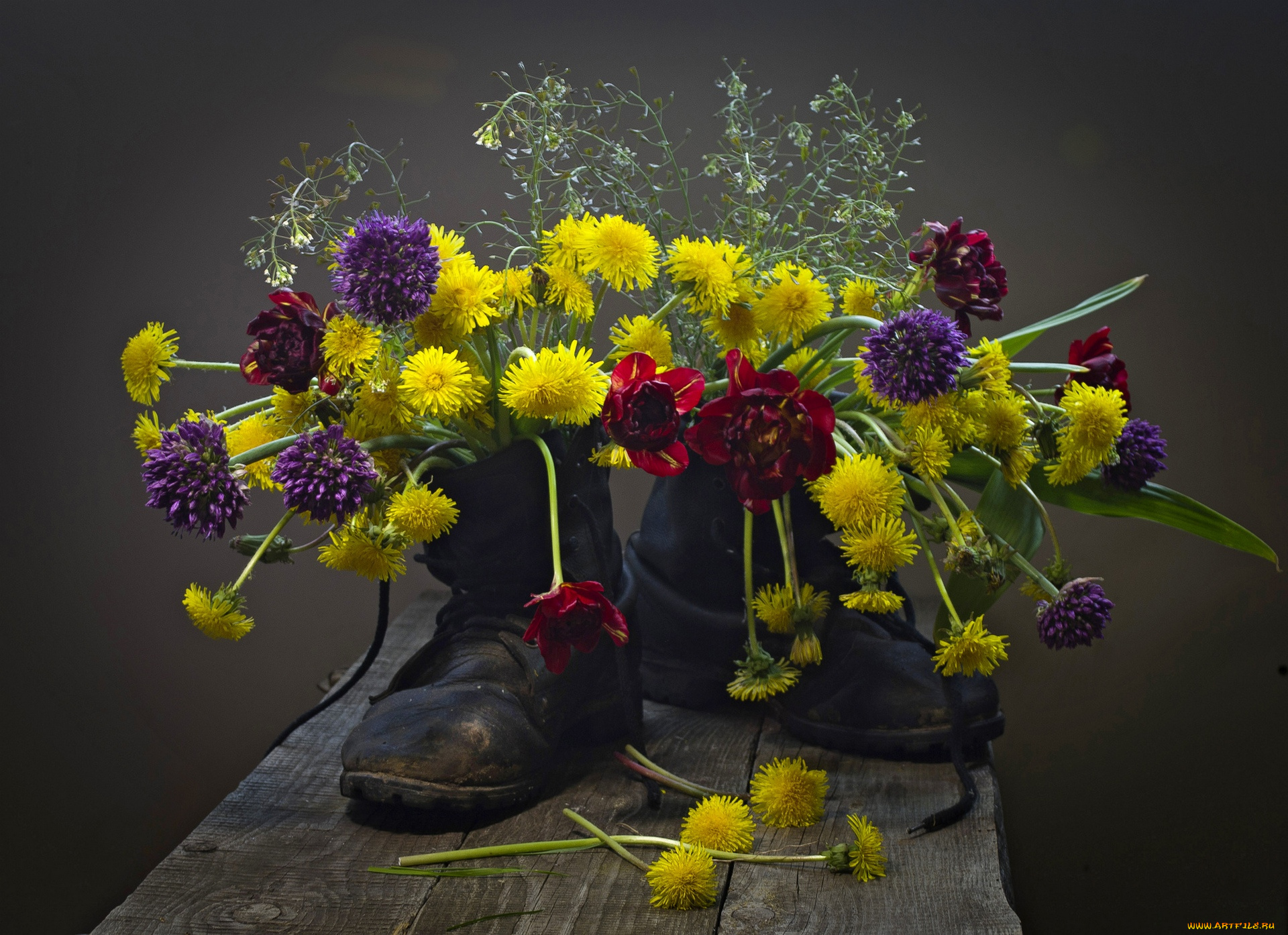 цветы, разные, вместе, тюльпаны, одуванчики, обувь, ботинки, лук