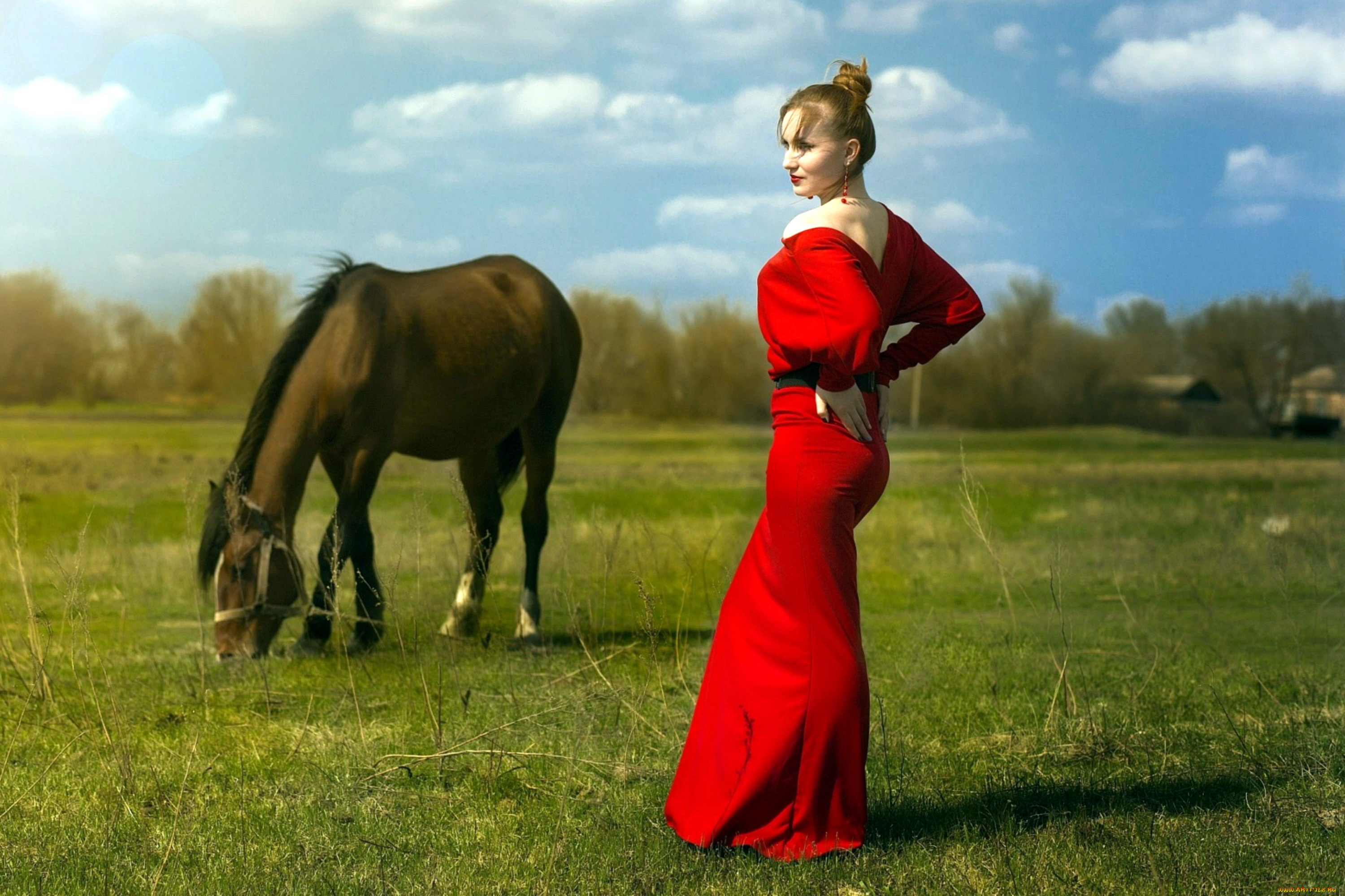 девушки, -, брюнетки, , шатенки, луг, лошадь, трава, девушка, красное, платье