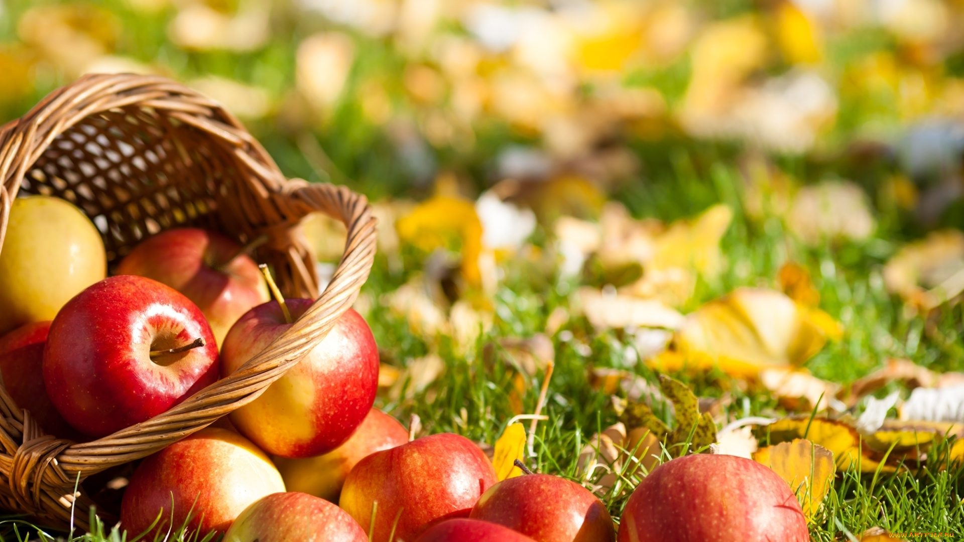 еда, Яблоки, осенние, дары, листья, осень, фрукты