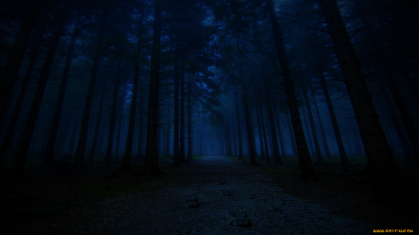 Лес ночь деревья скачать