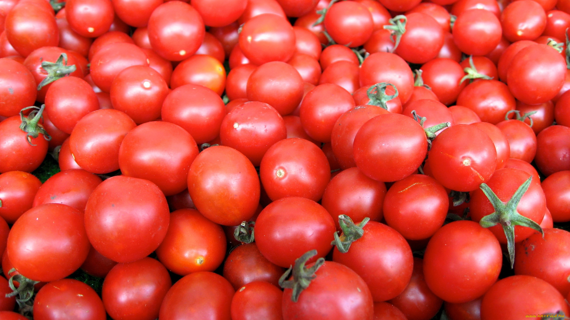 Узбекские помидоры 650$