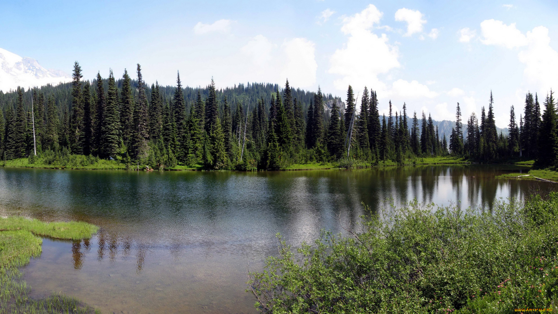 mount, rainier, national, park, usa, washington, природа, реки, озера, парк, озеро, лес