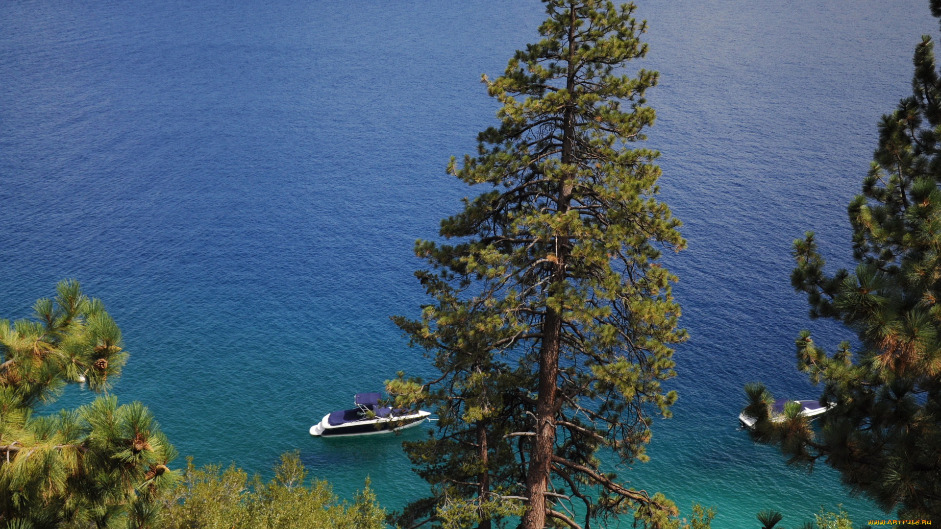 озеро, tahoe, nevada, сша, природа, реки, озера, деревья, кусты, lake