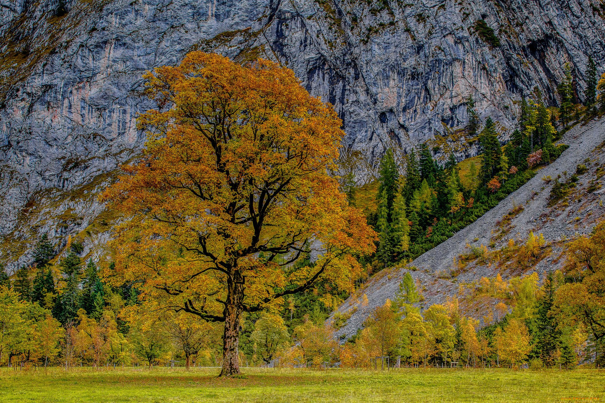 karwendel, austria, природа, деревья, австрия, альпы, осень, карвендель, alps