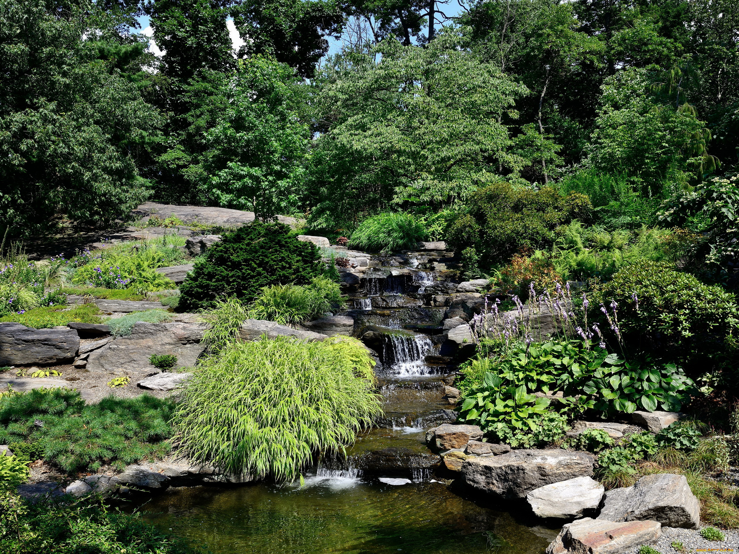 belmont, park, new, york, природа, парк, водопад, растения