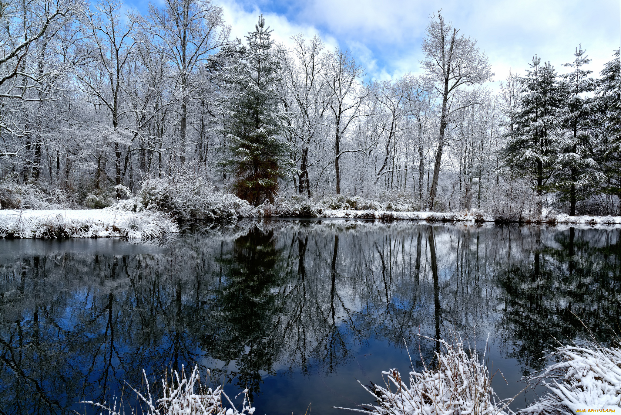 природа, зима, отражение, деревья, облака, озеро