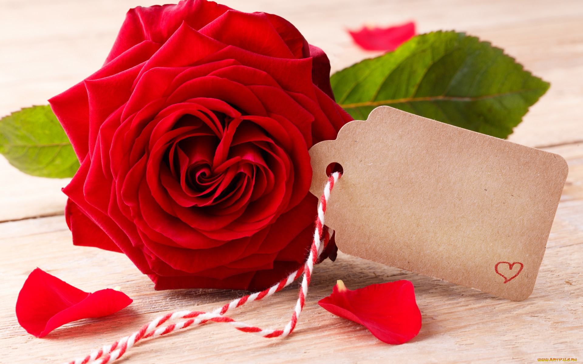 праздничные, день, святого, валентина, , сердечки, , любовь, flowers, red, розы, romantic, roses, valentine`s, day, love, heart, бутоны, красные