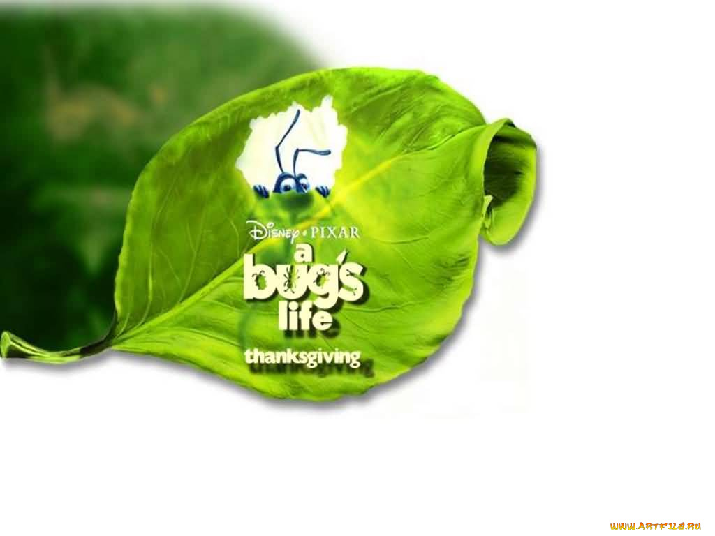 мультфильмы, bugs, life