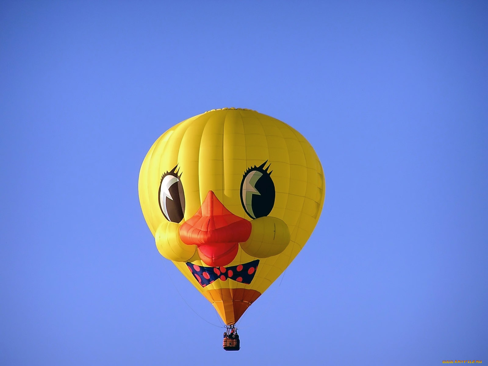 daffy, duck, авиация, воздушные, шары