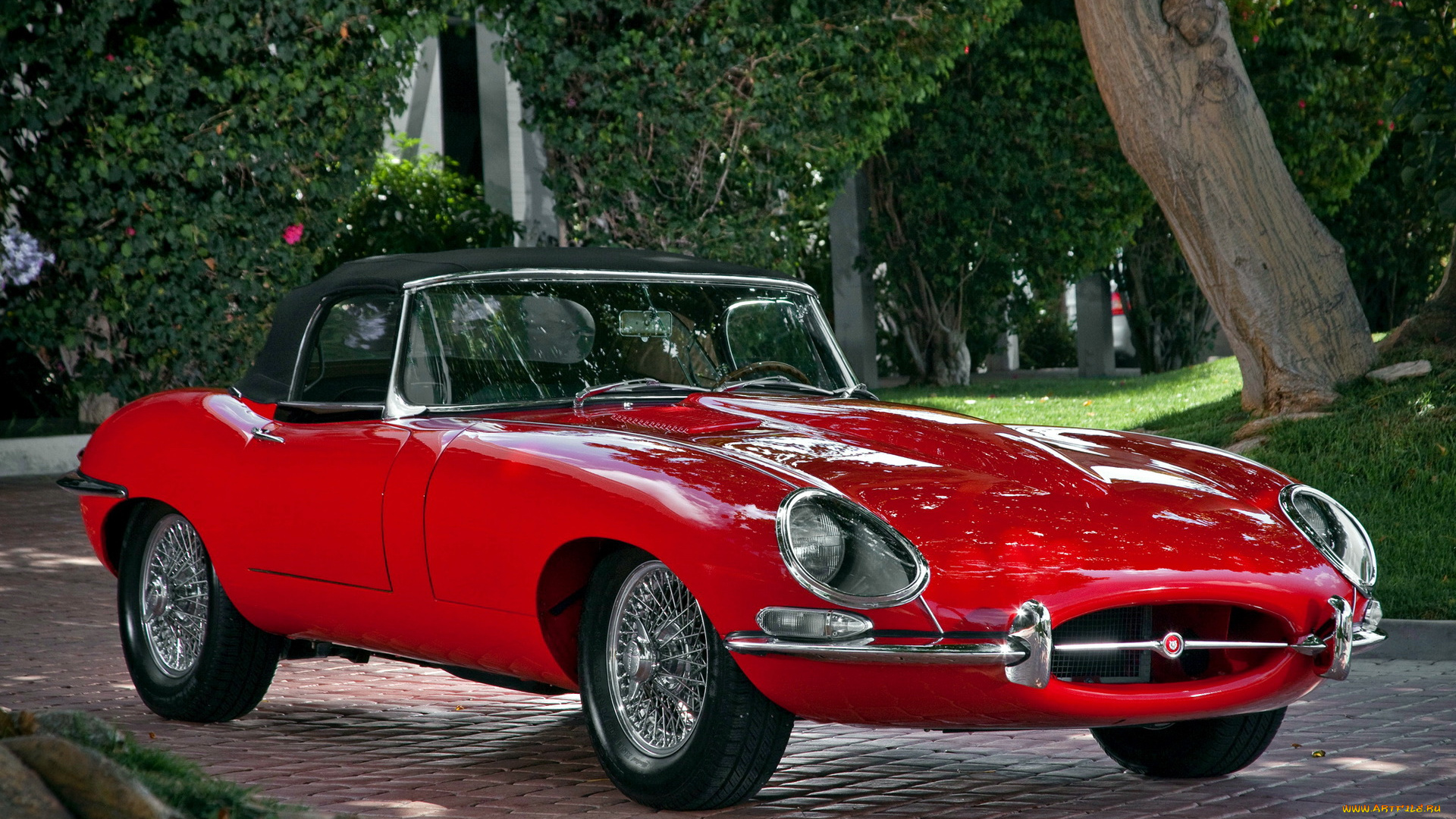 jaguar, автомобили, классика, авто