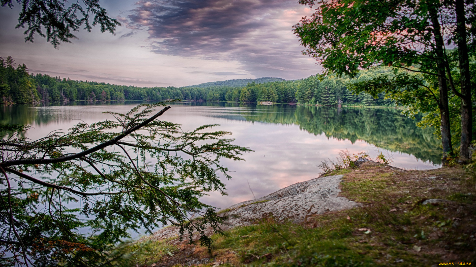 природа, реки, озера, река, лес