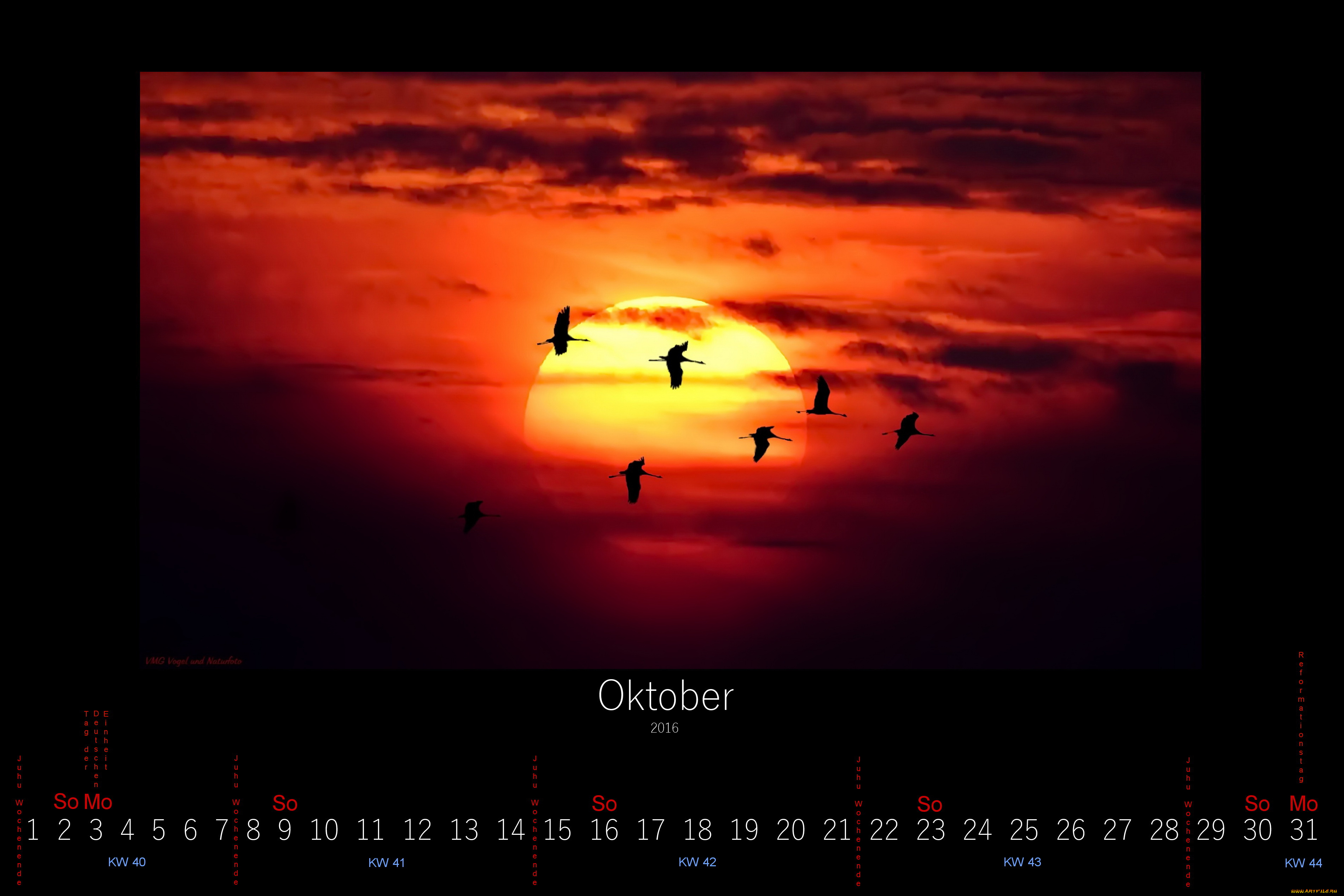 календари, животные, 2016, птицы, закат, октябрь