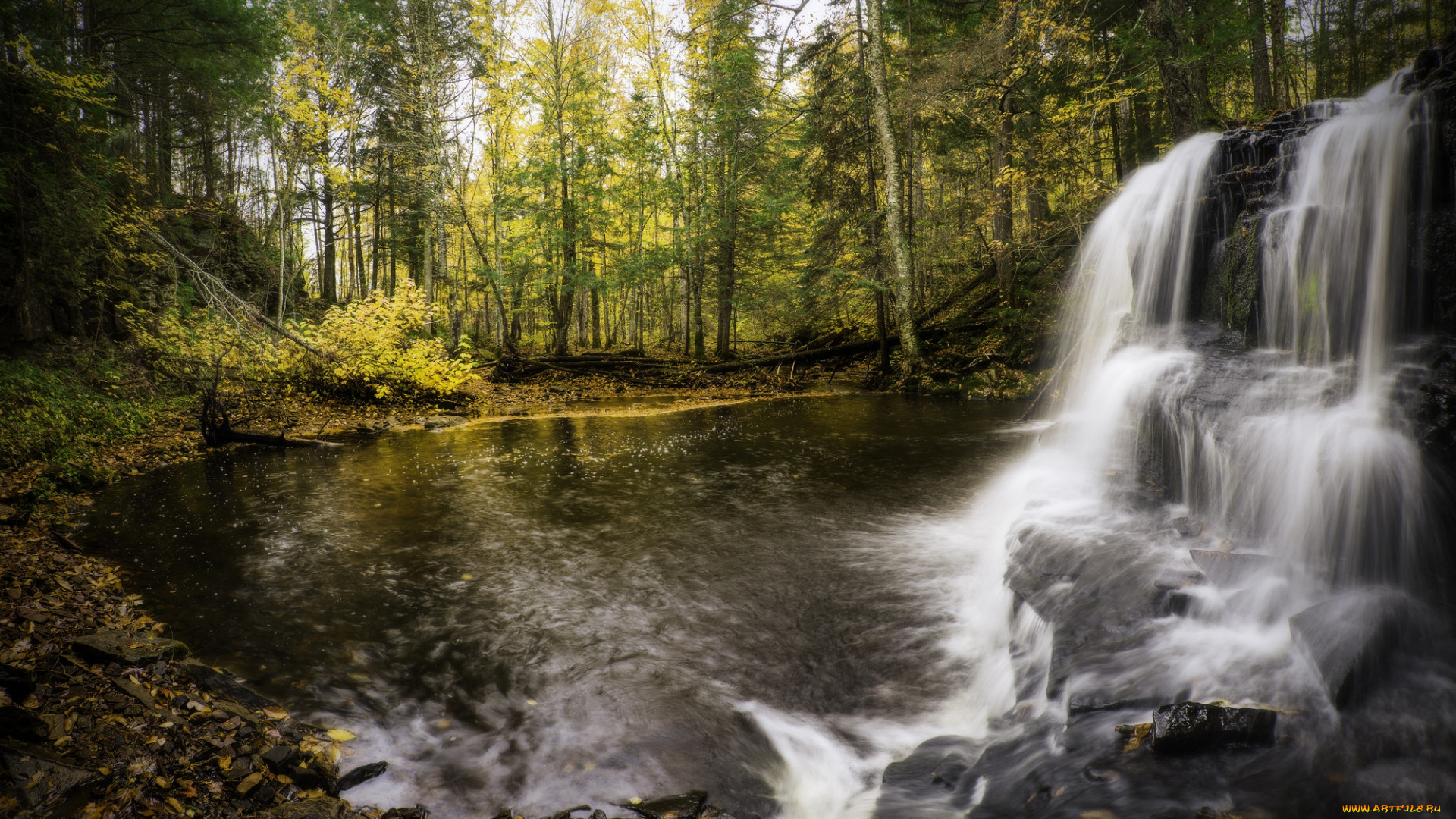 природа, водопады, лес, река, водопад