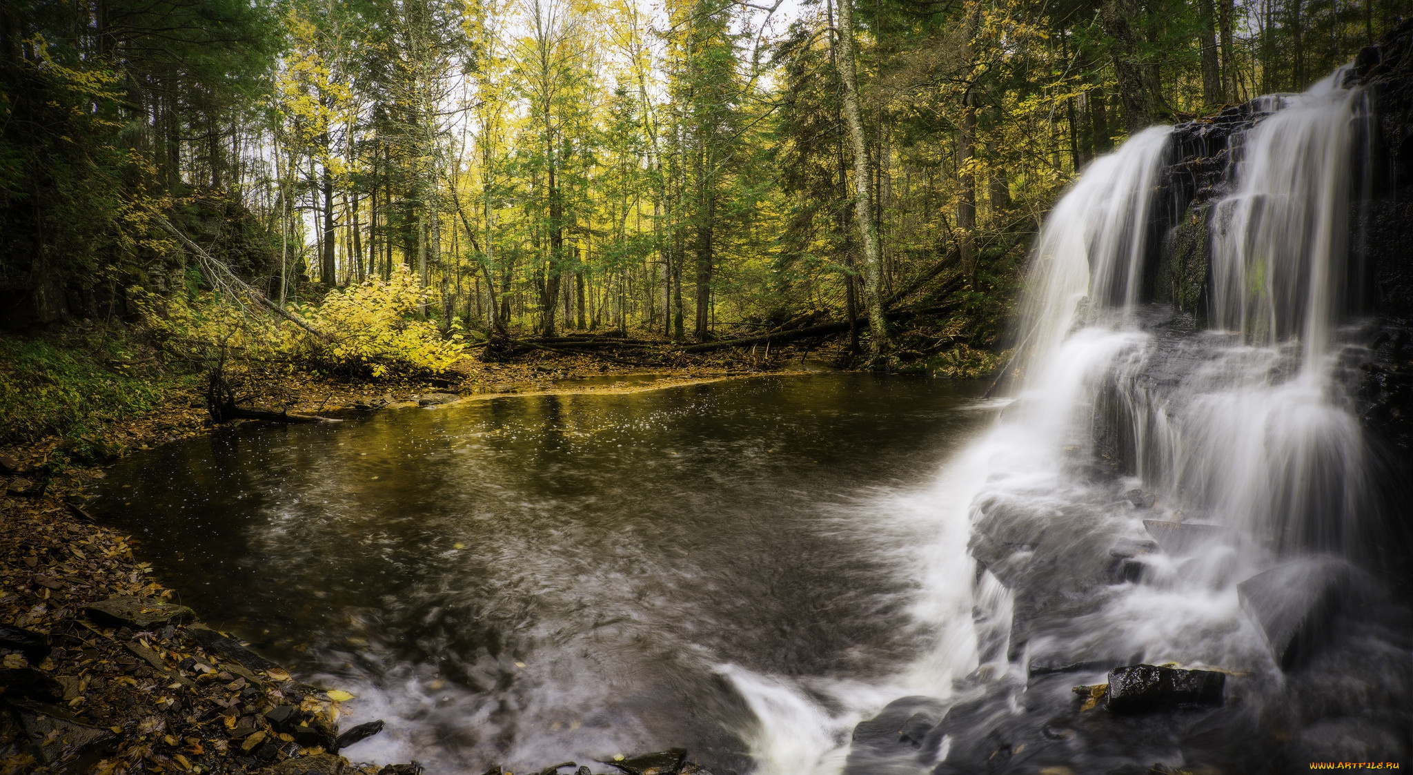 природа, водопады, лес, река, водопад