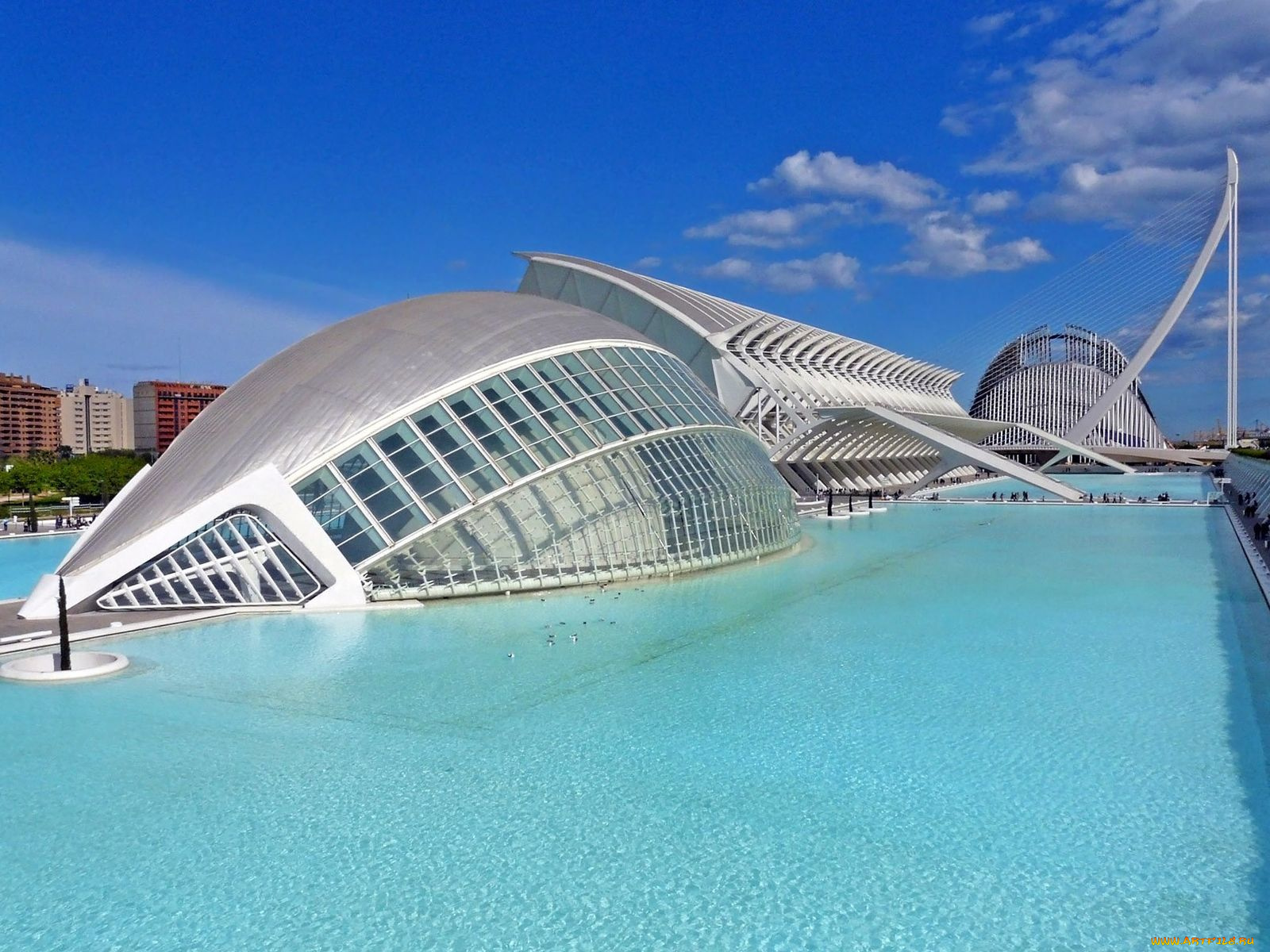 the, city, of, arts, and, sciences, valencia, spain, города, здания, дома