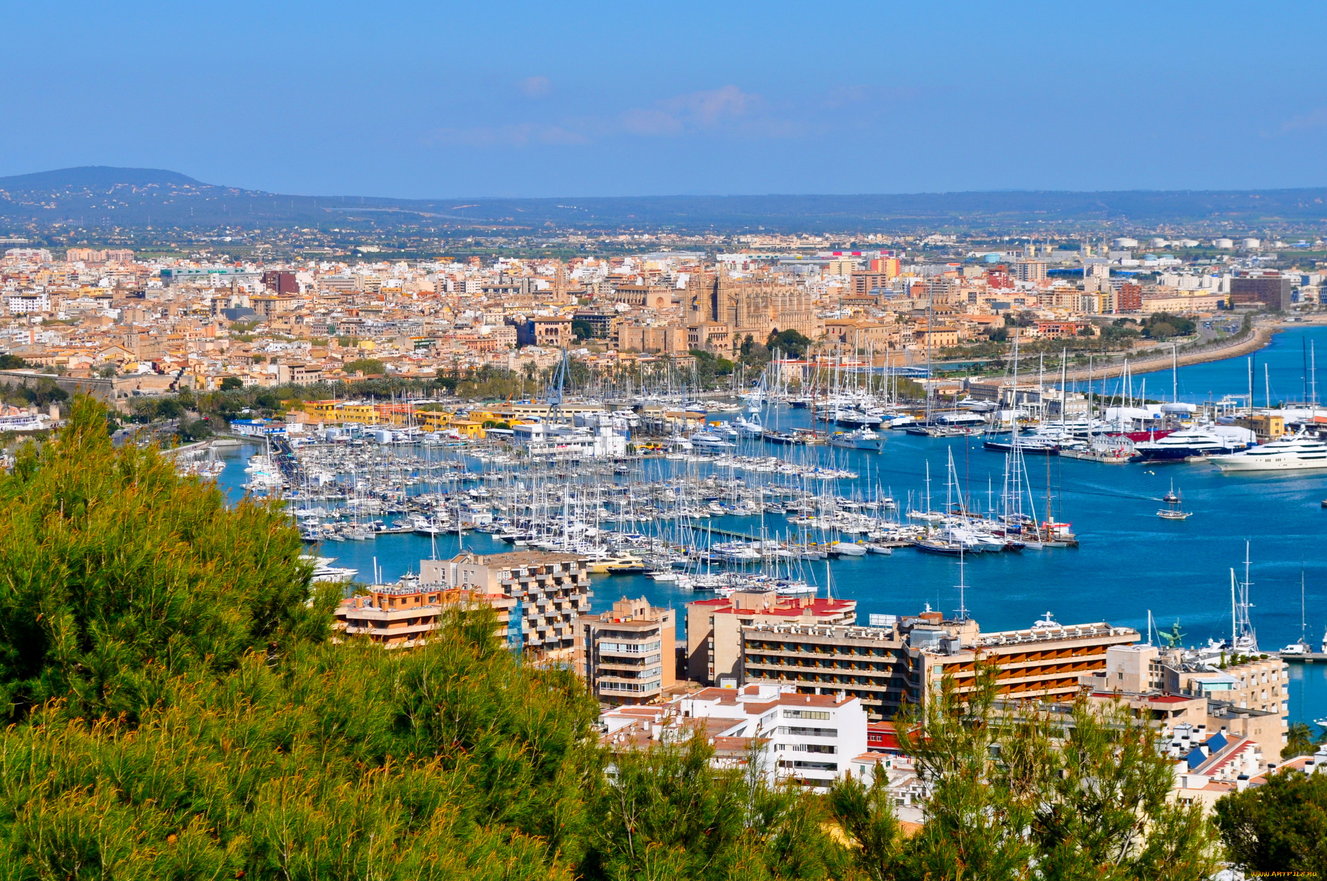 испания, mallorca, города, -, панорамы, испания, балеарские, о-ва, mallorca, дома, море