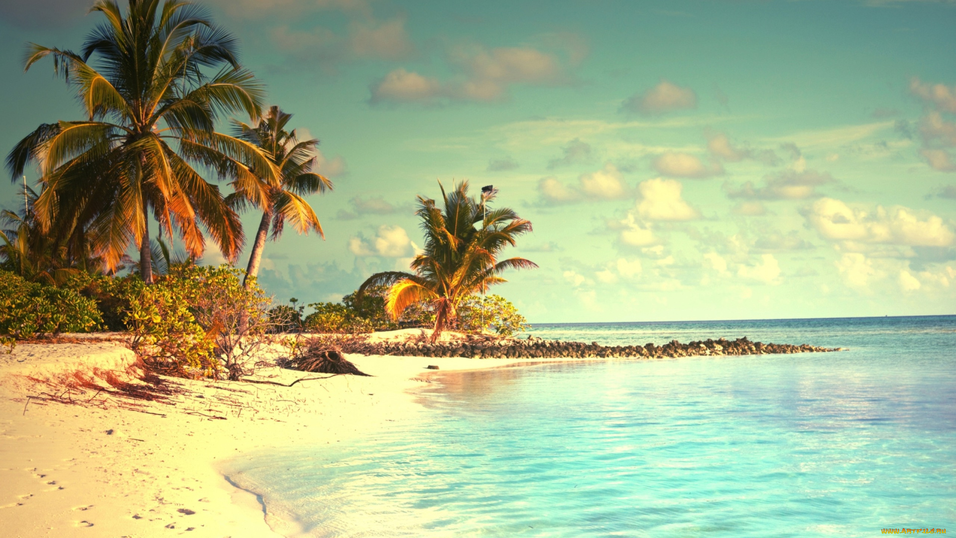 природа, тропики, берег, песок, tropical, пальмы, море, пляж, vacation, summer, palms, beach, paradise, sunshine, ocean, sea