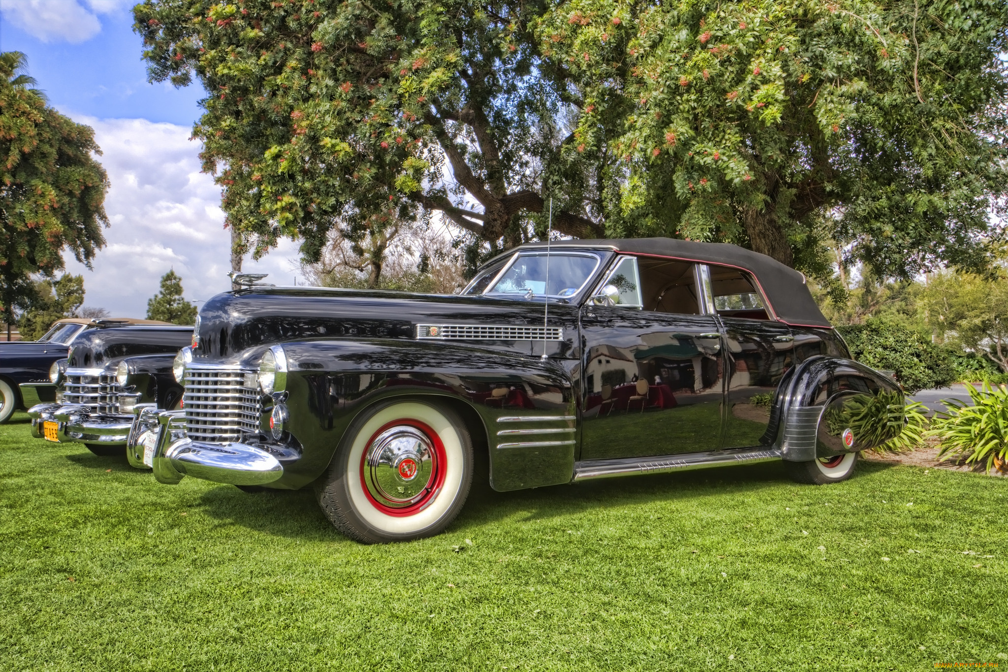 1941, cadillac, series, 62, convertible, sedan, автомобили, выставки, и, уличные, фото, выставка, автошоу