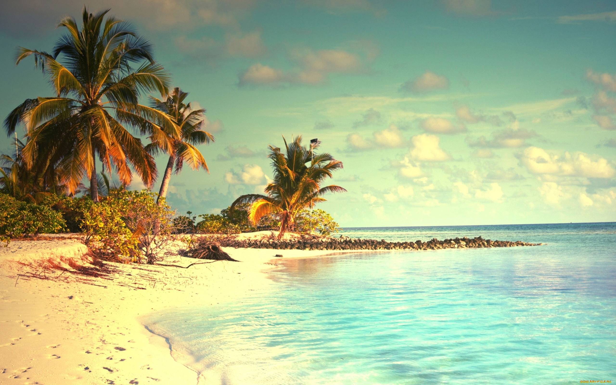 природа, тропики, берег, песок, tropical, пальмы, море, пляж, vacation, summer, palms, beach, paradise, sunshine, ocean, sea