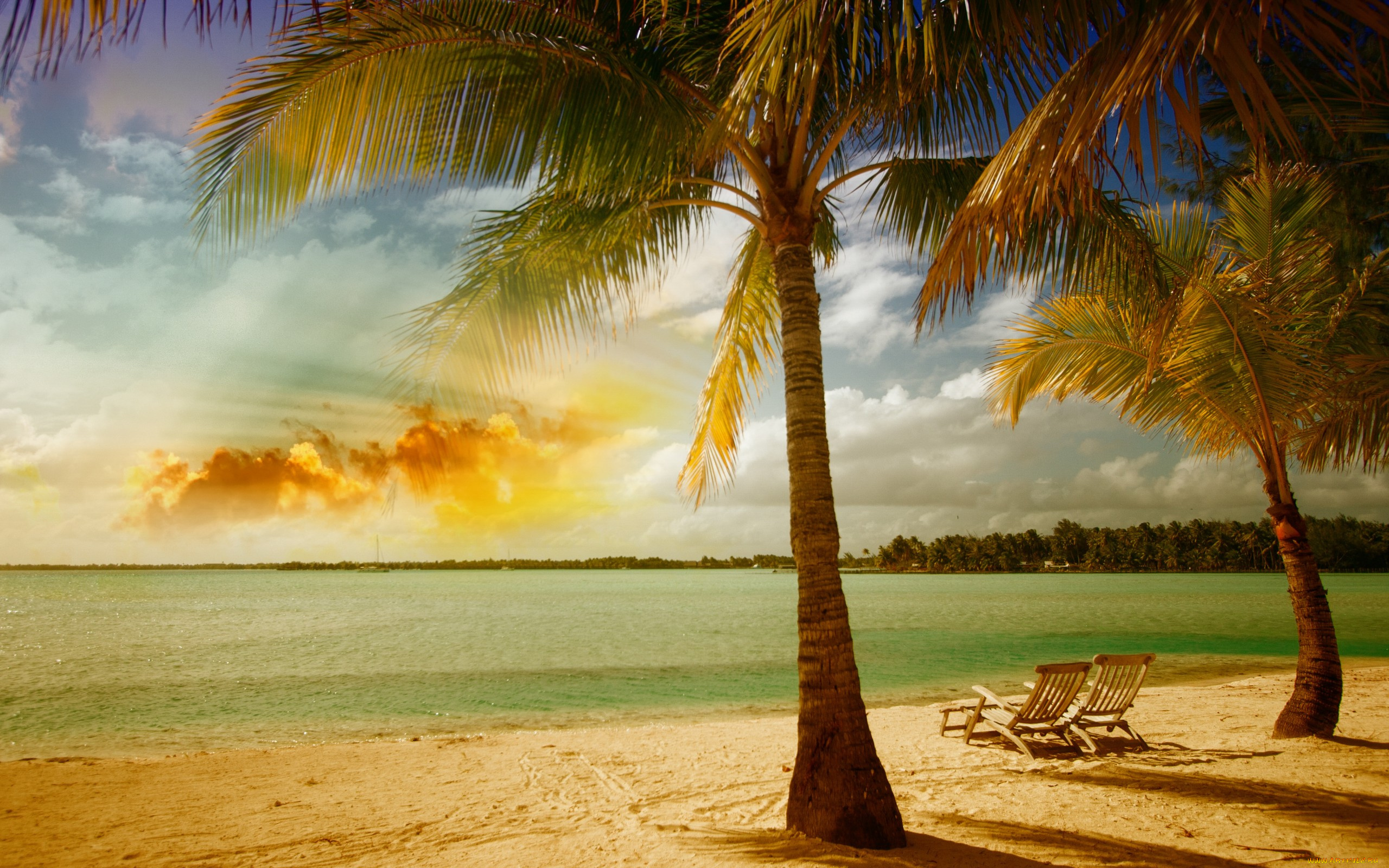 природа, тропики, песок, beach, tropical, пальмы, море, пляж, берег, summer, sea, palm