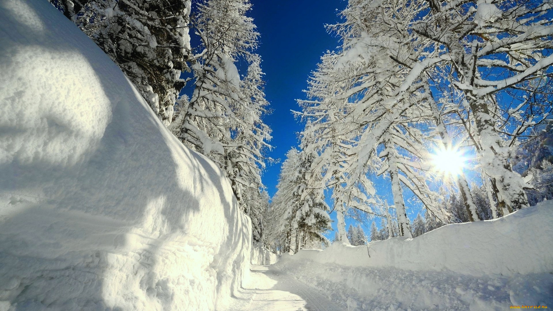 природа, зима, деревья, дорога, снег