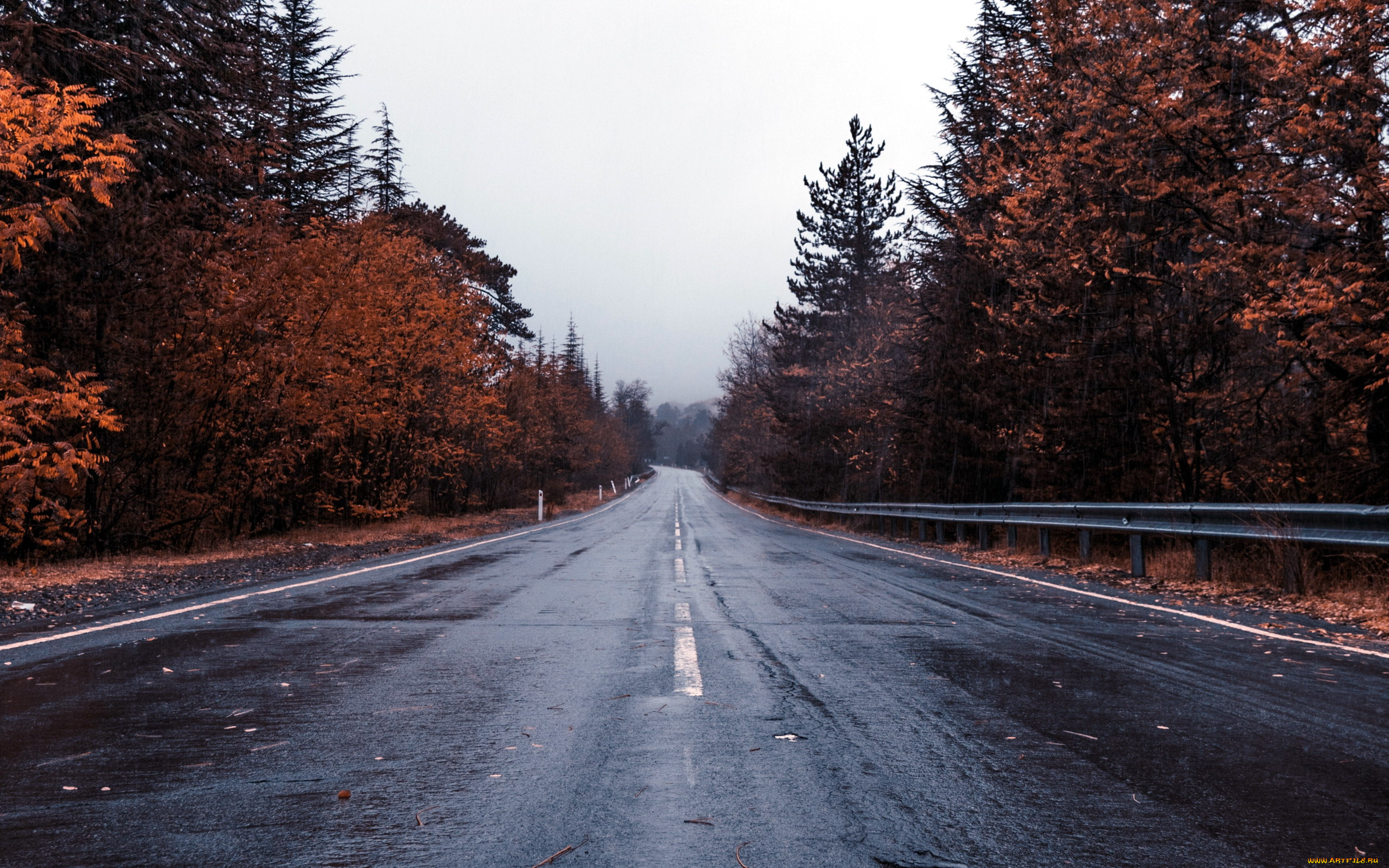 природа, дороги, осень, шоссе